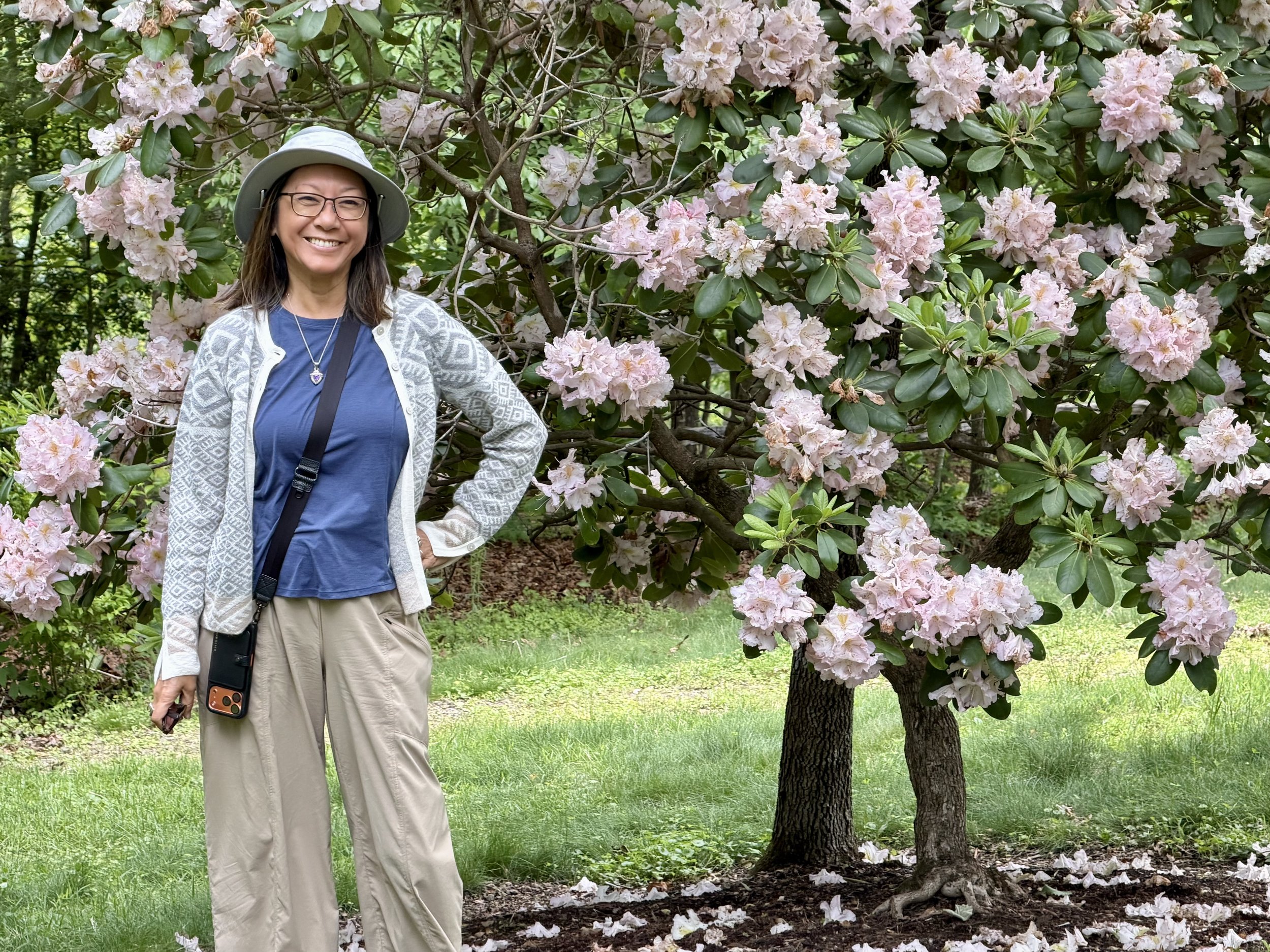 NC Arboretum