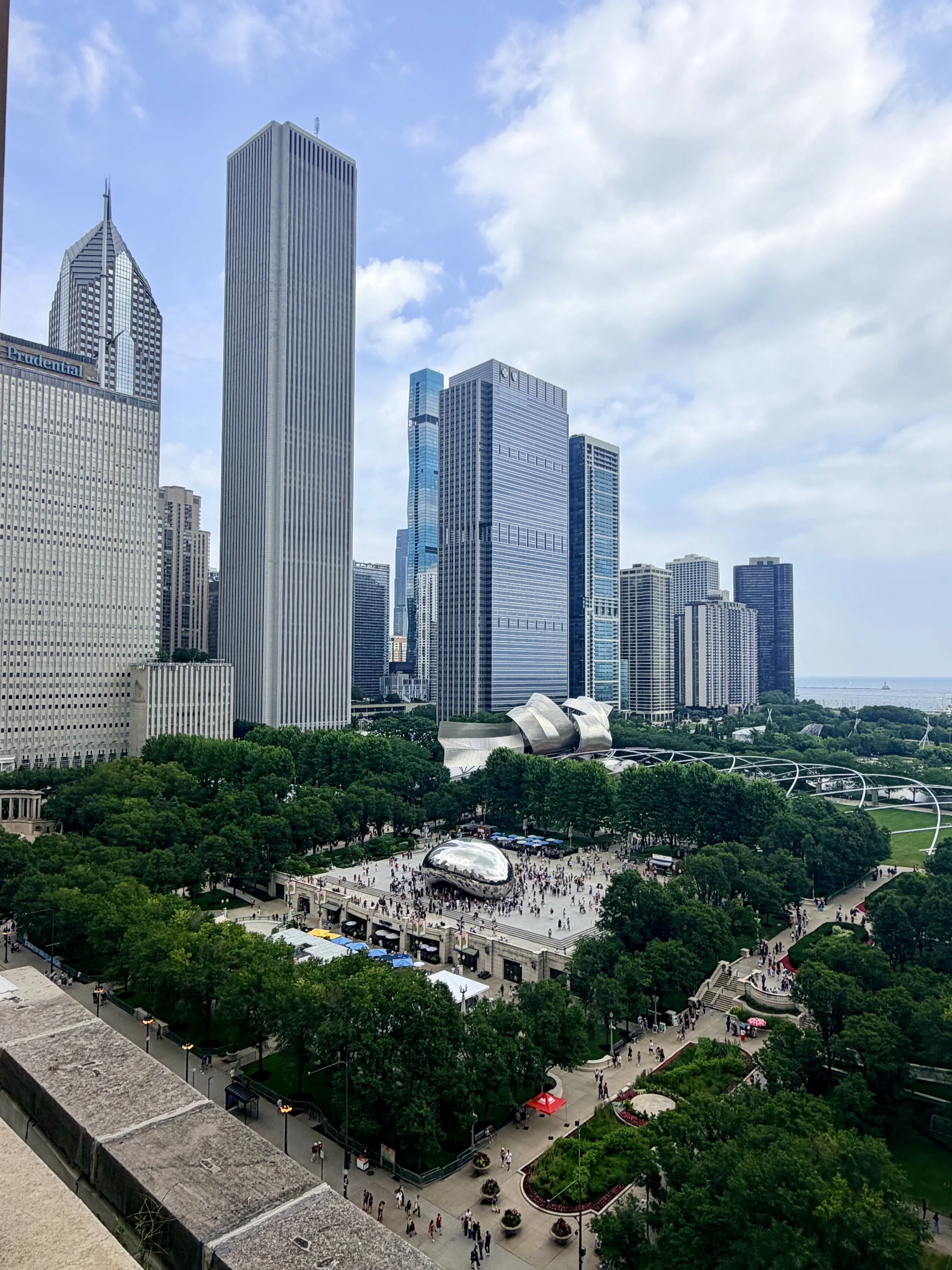 Millennium Park viewed from Cindy's Rooftop