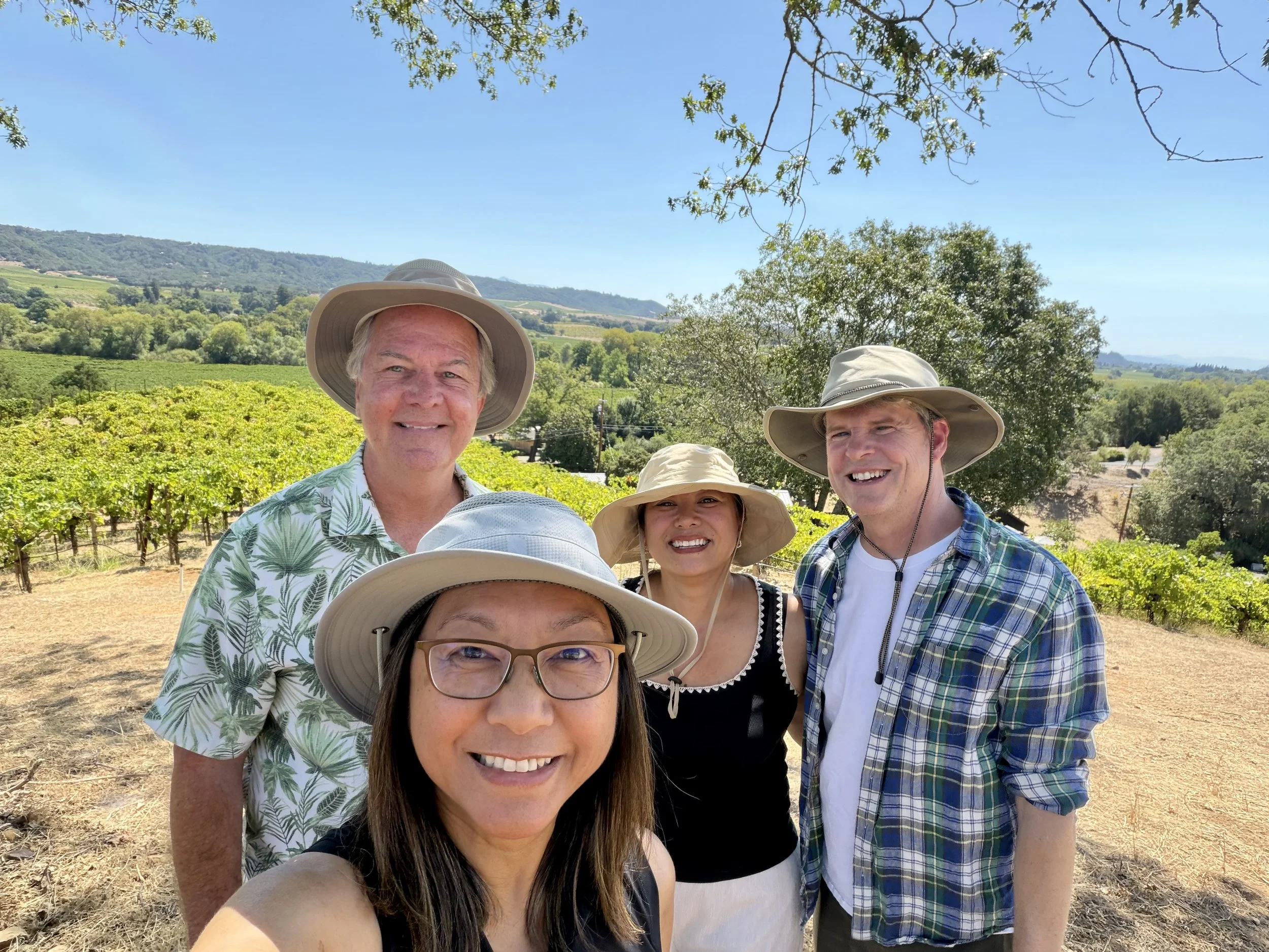 Dry Creek and Healdsburg