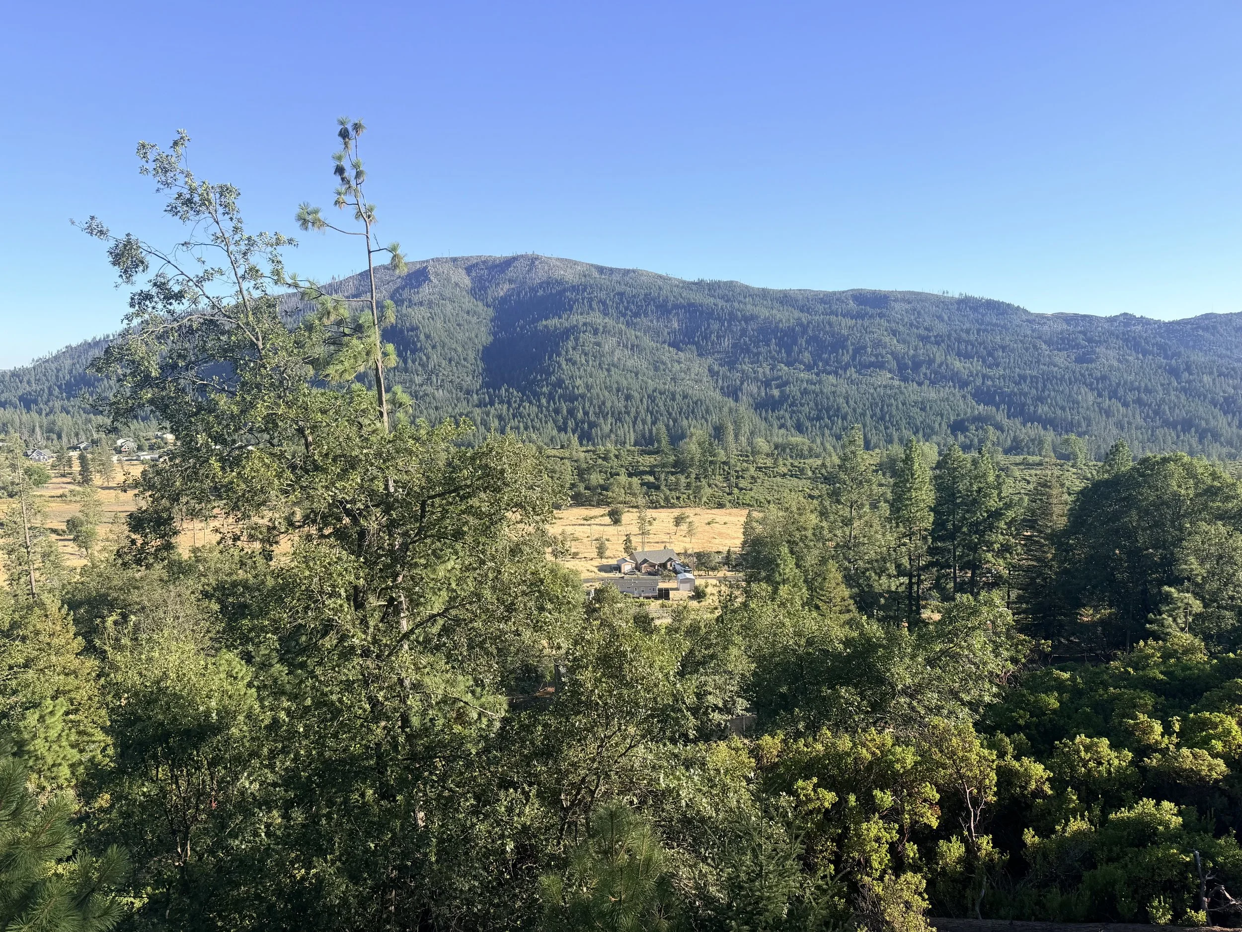 IMG_7297.jpeg