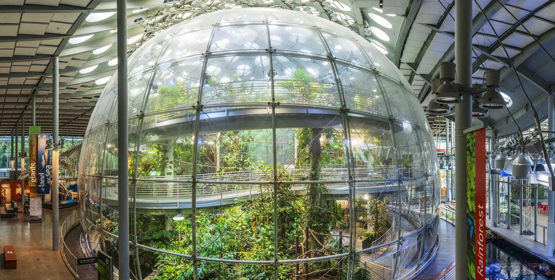 Source: calacademy.org