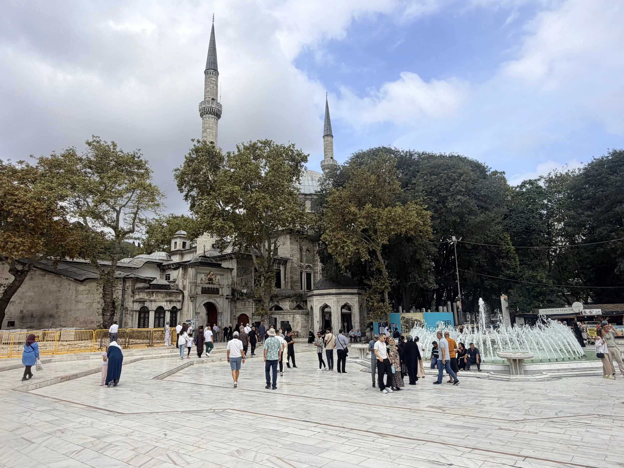 IMG_9056.jpeg