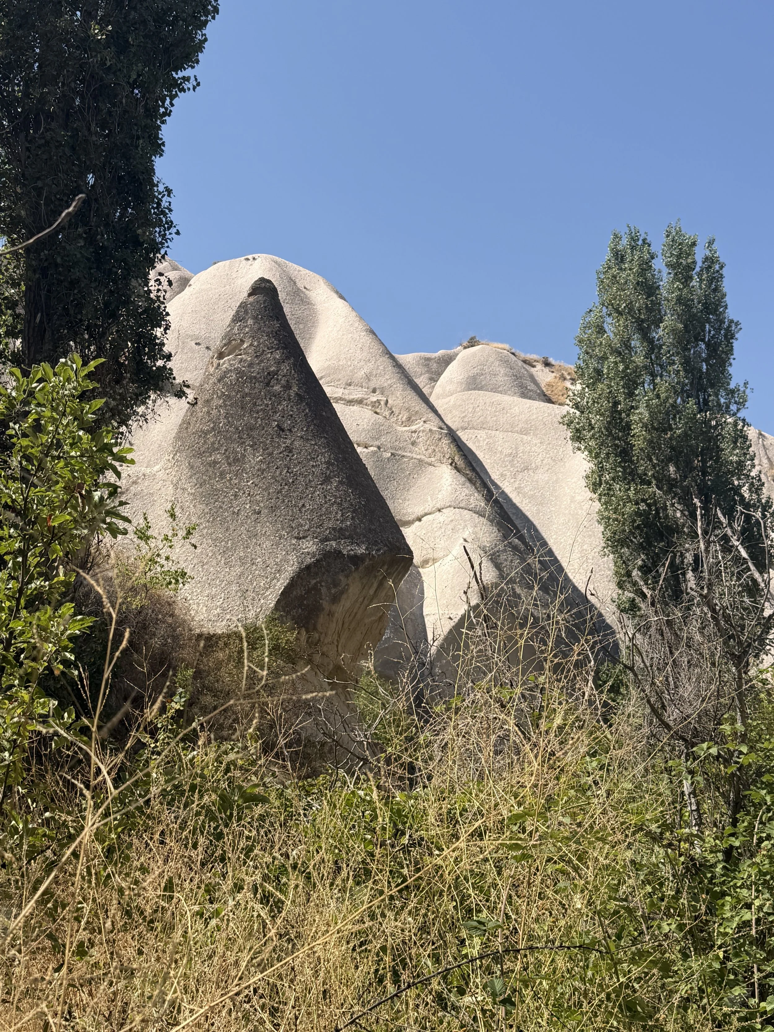 IMG_9347.jpeg