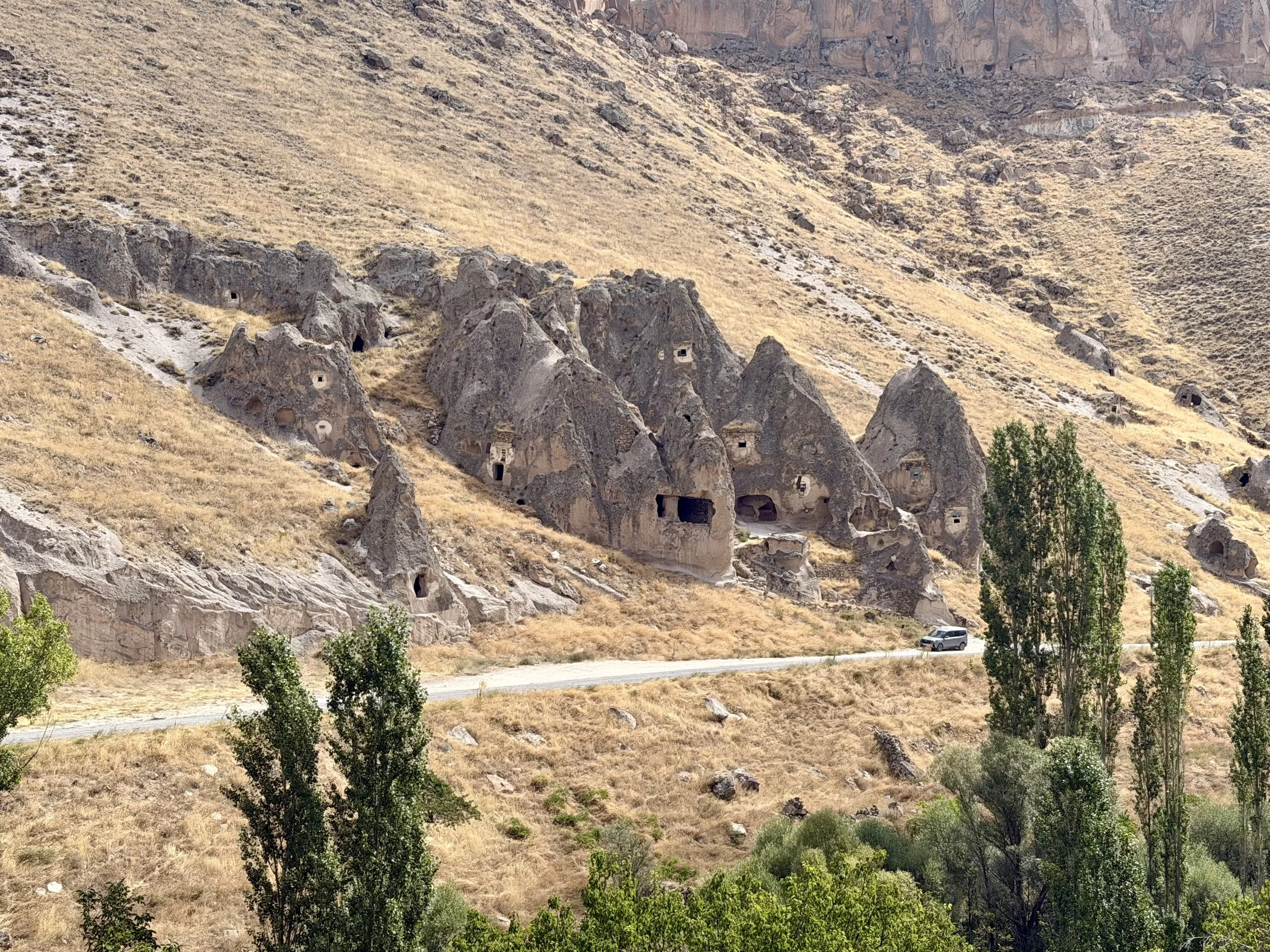 IMG_9595.jpeg