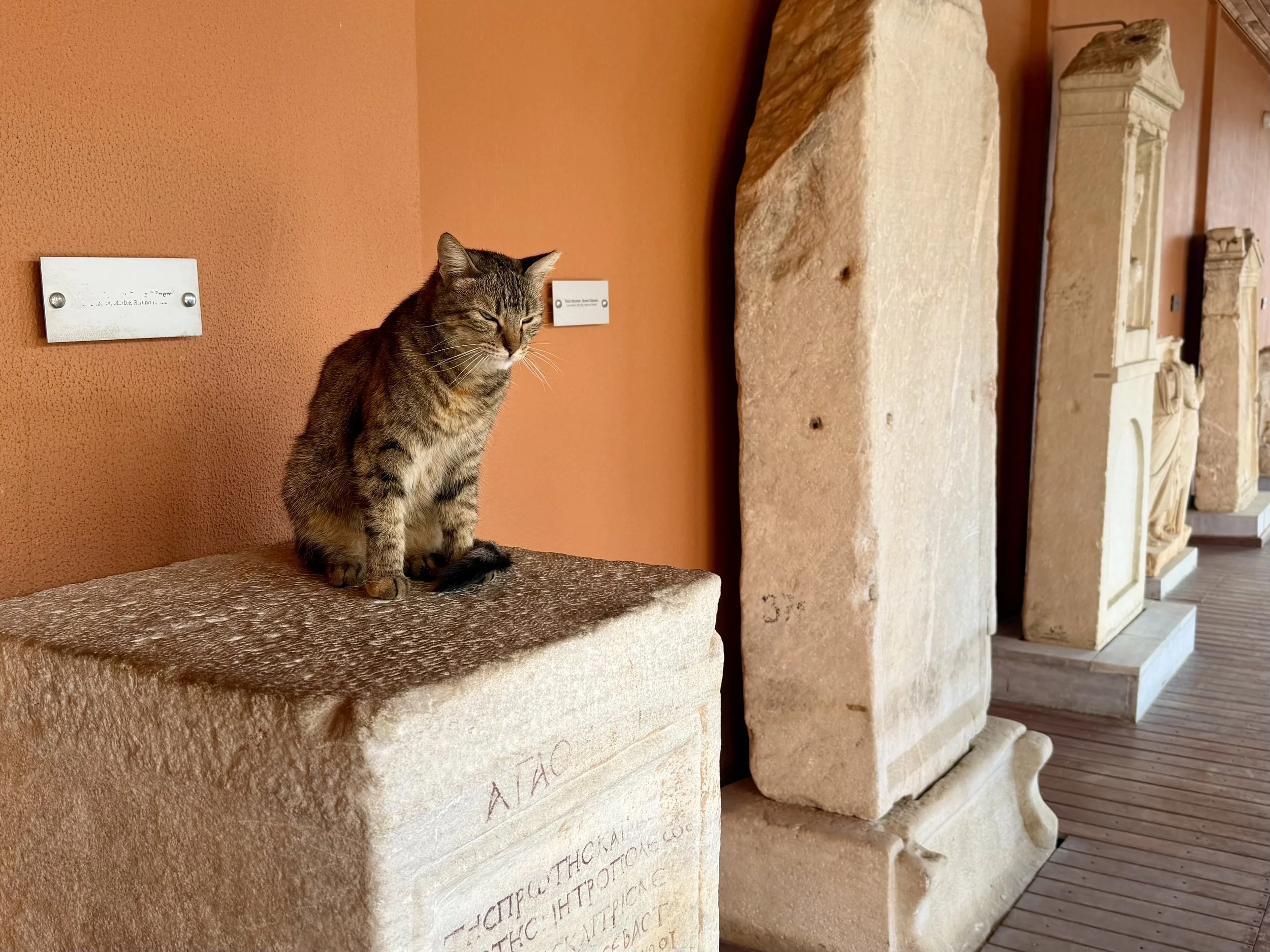 IMG_9869.jpeg