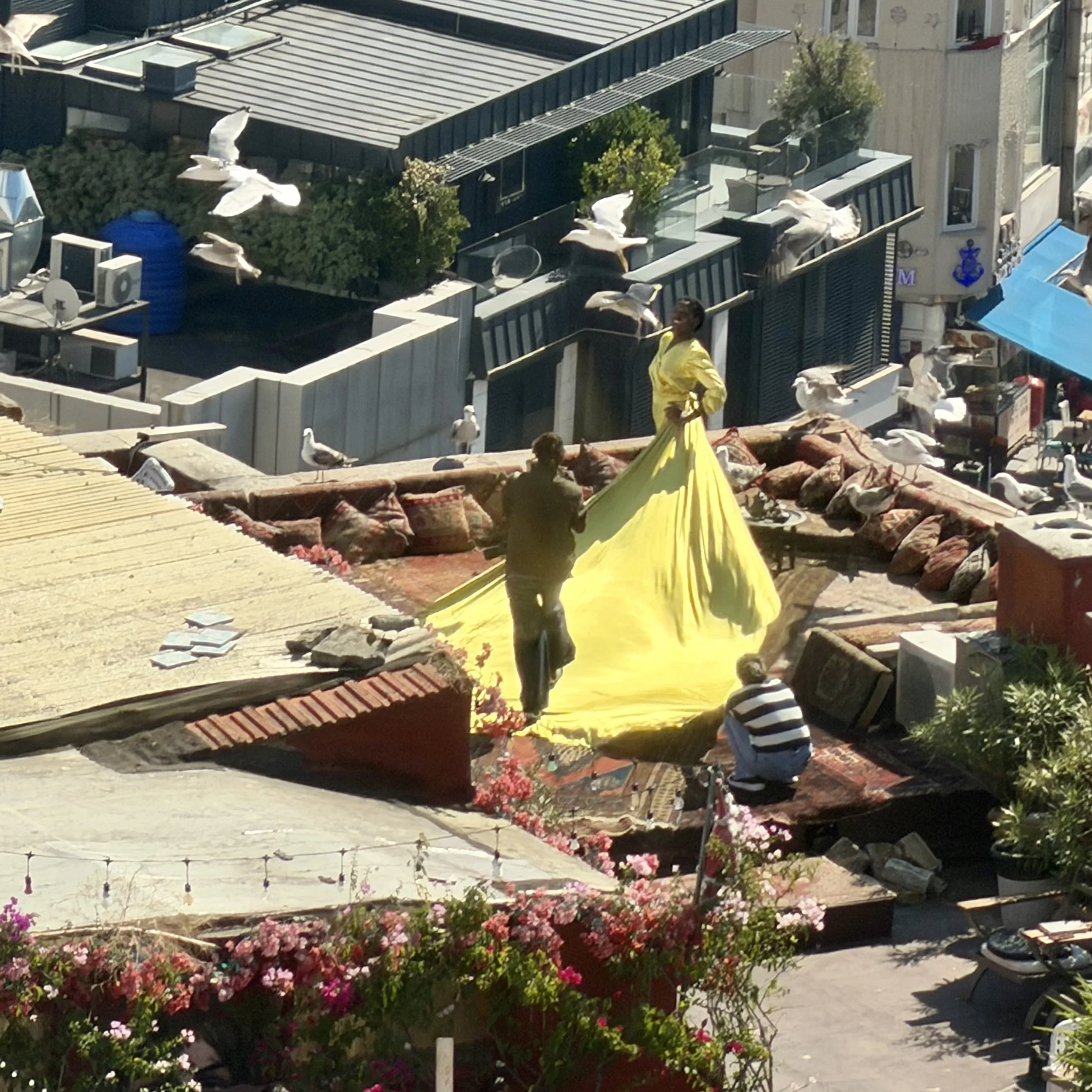 IMG_0154.jpeg