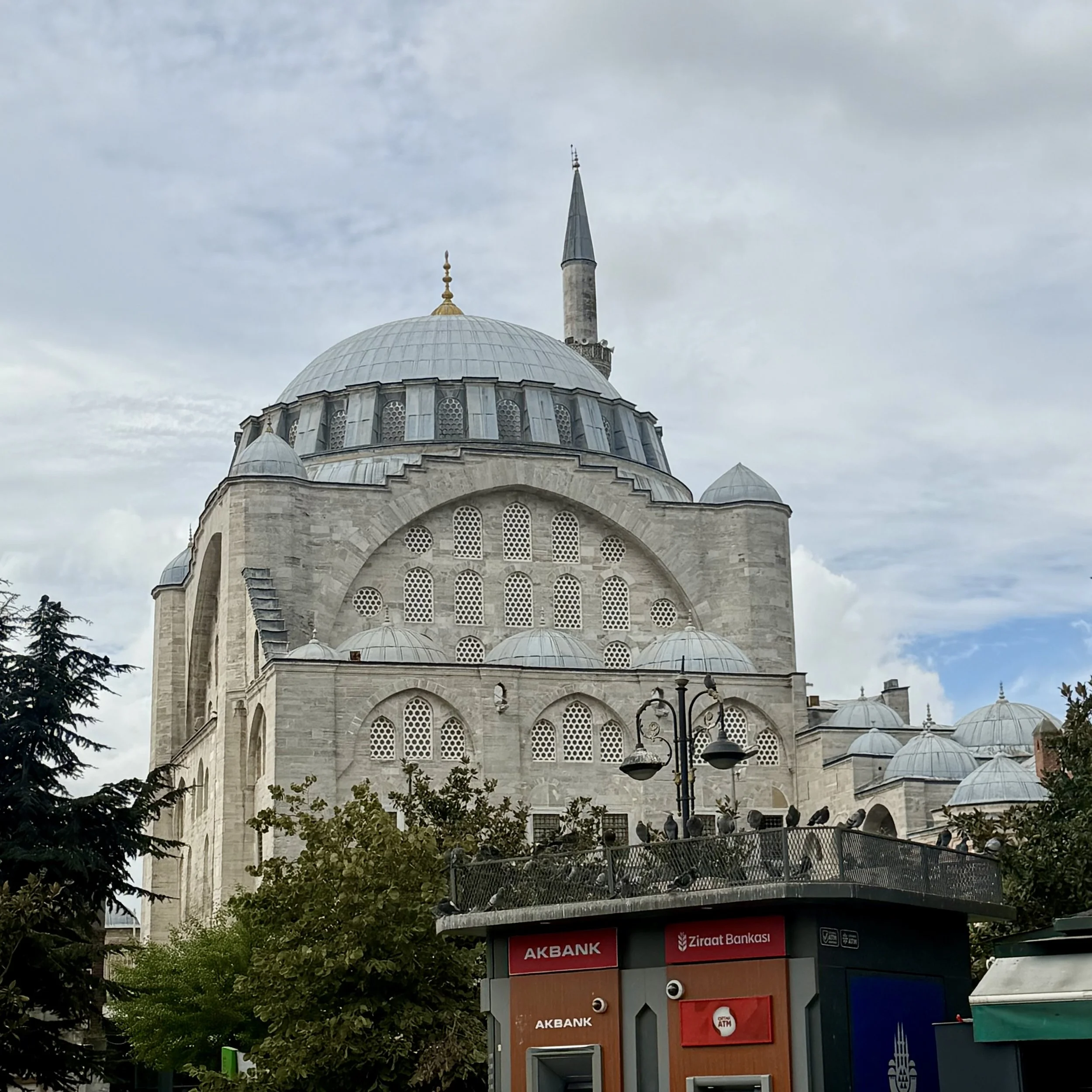 IMG_0452.jpeg
