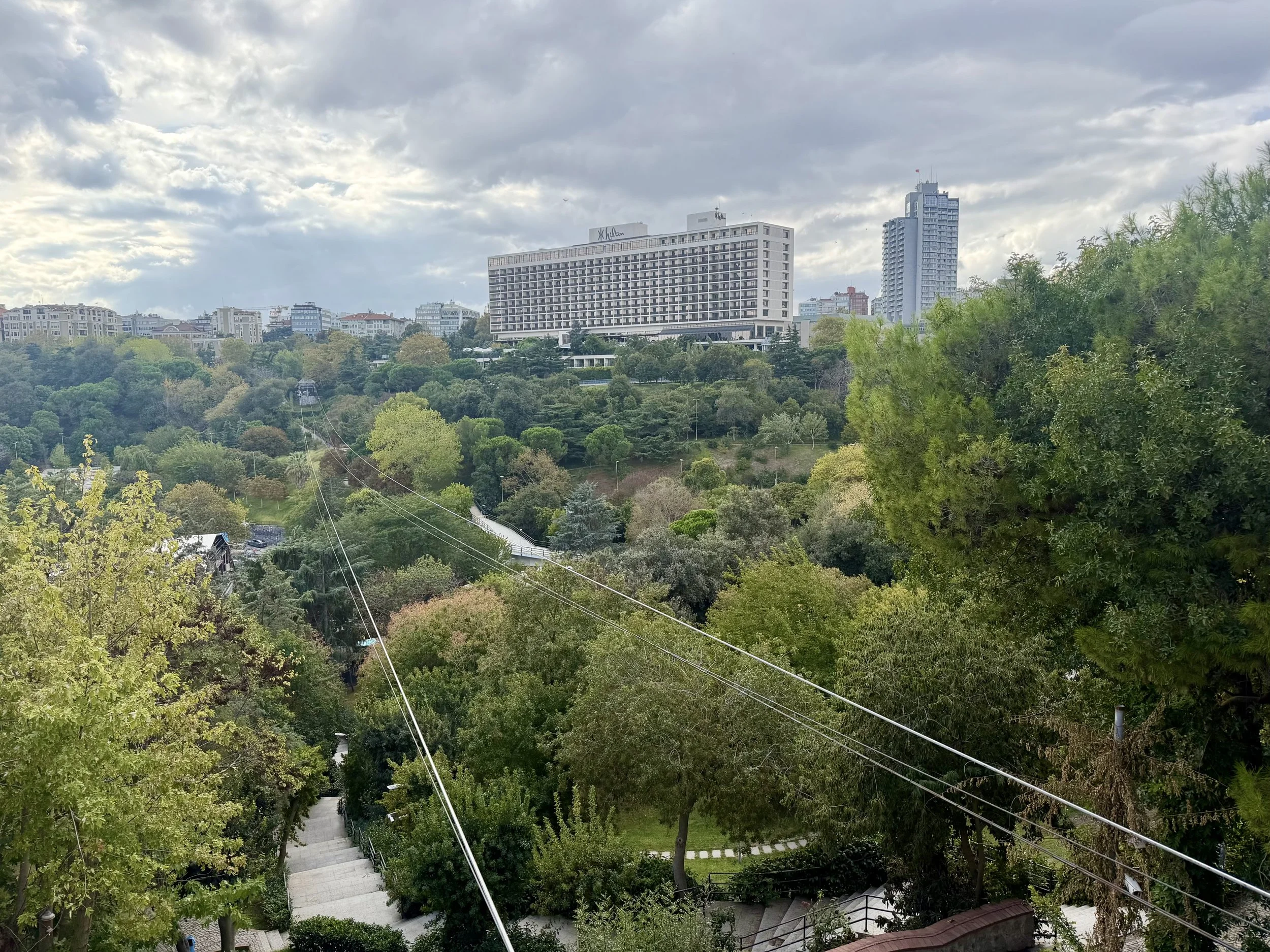IMG_0501.jpeg