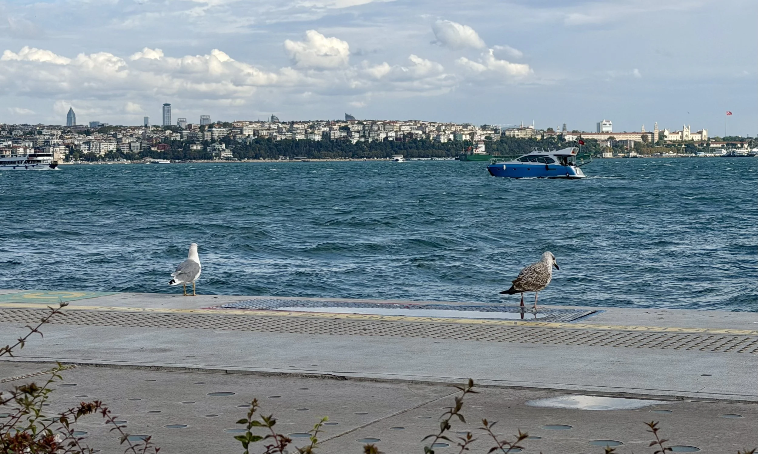 IMG_0752.jpeg