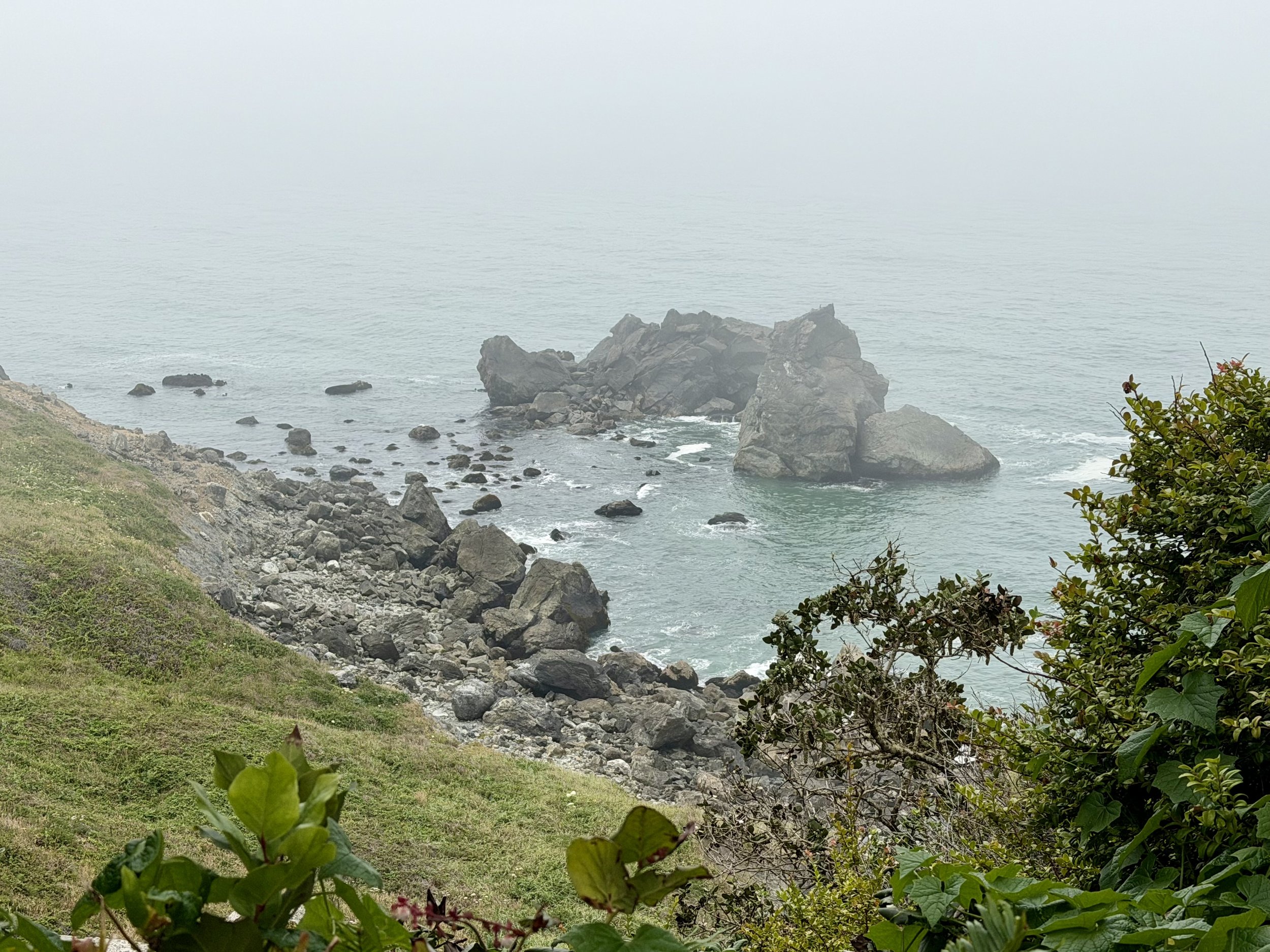 IMG_7173.jpeg
