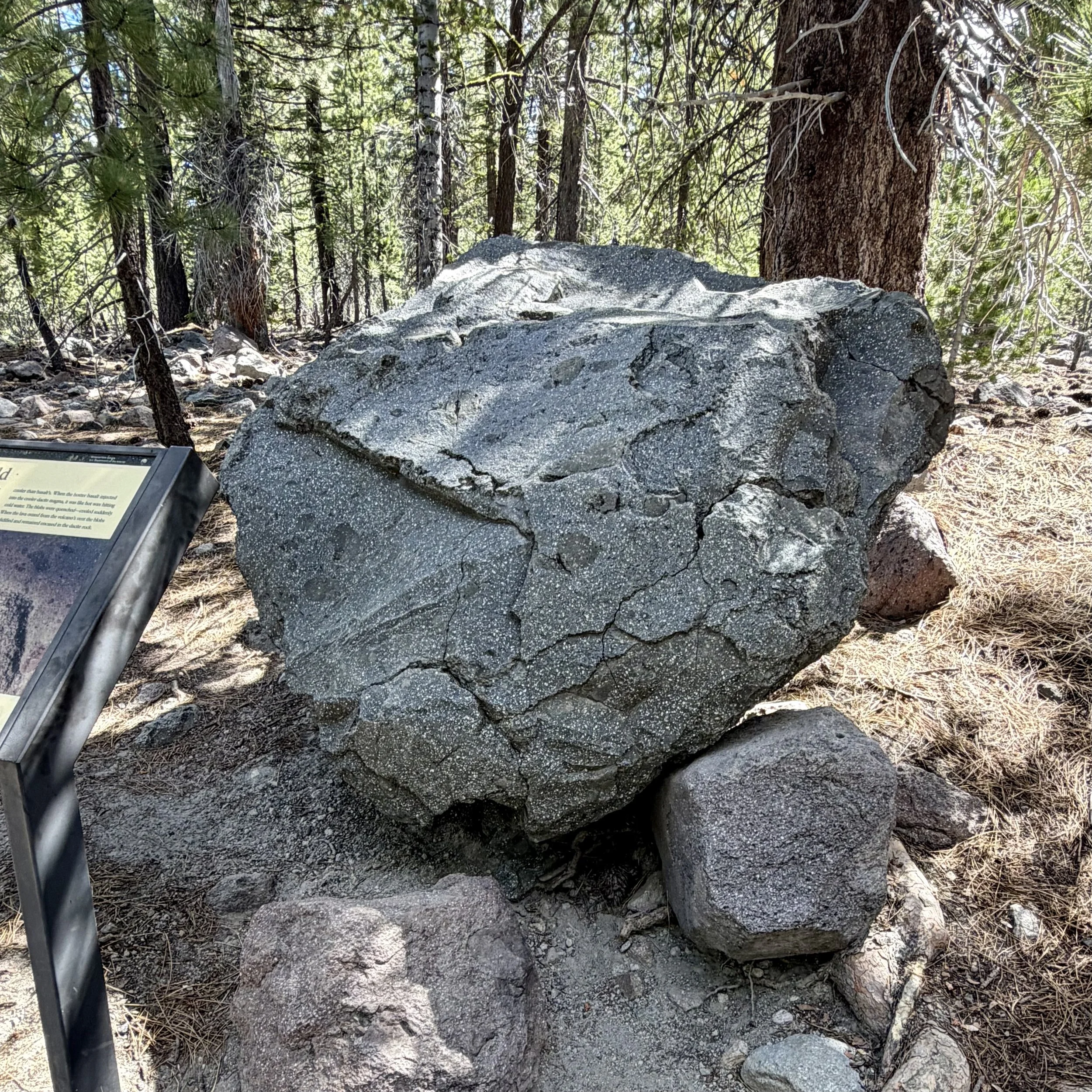 Dacite boulder with "quenched blobs" of basalt