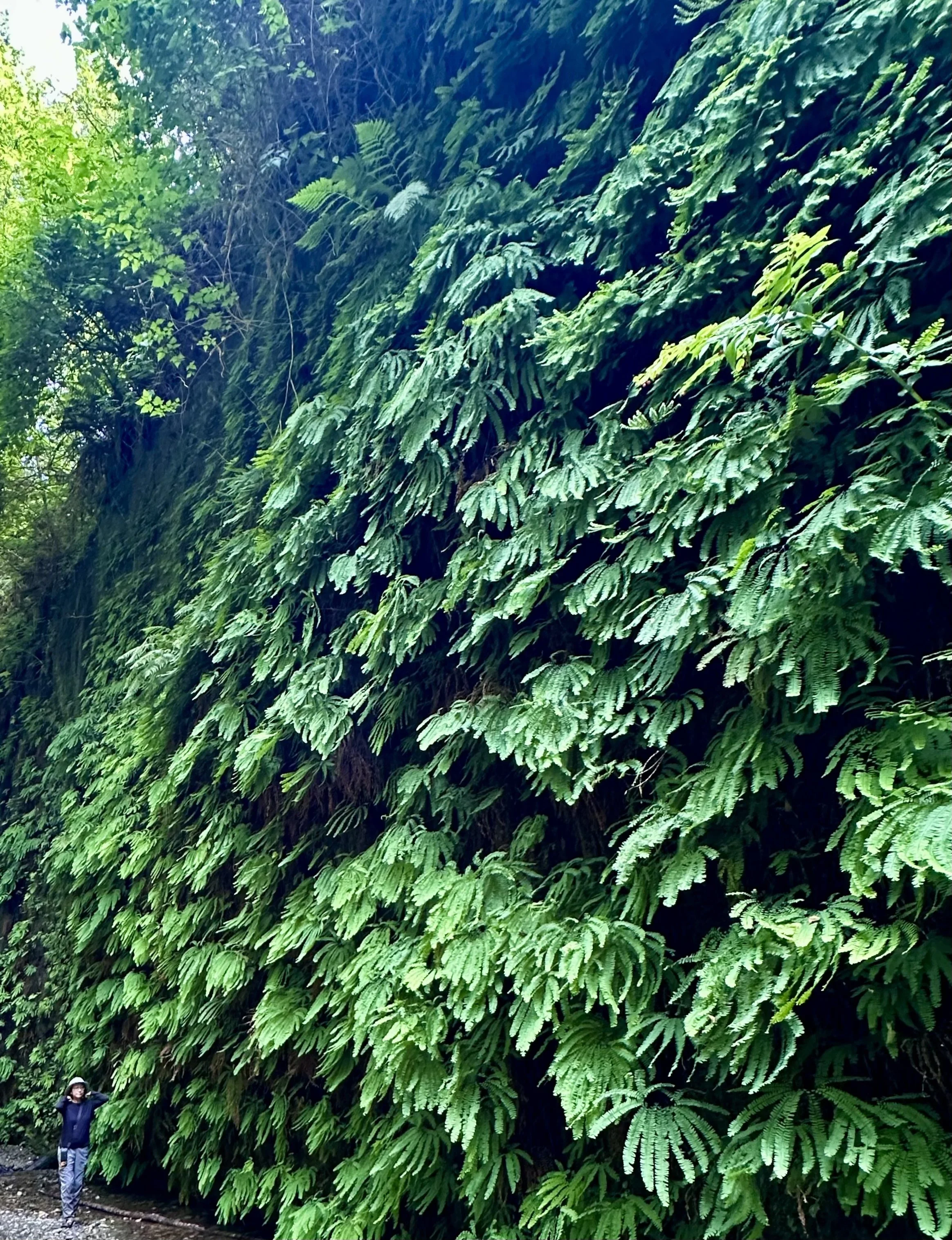 Can you find me?