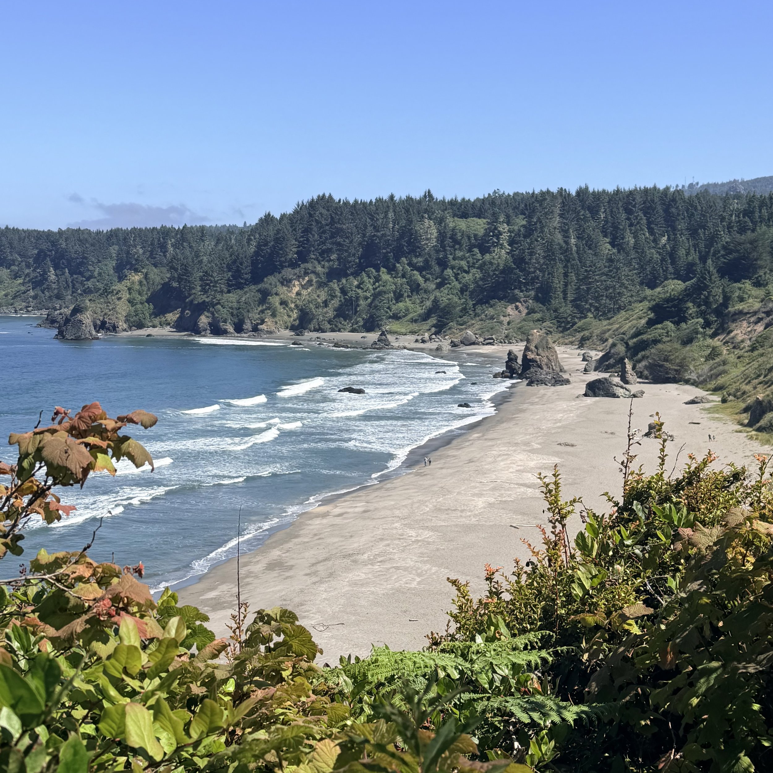 Trinidad State Beach