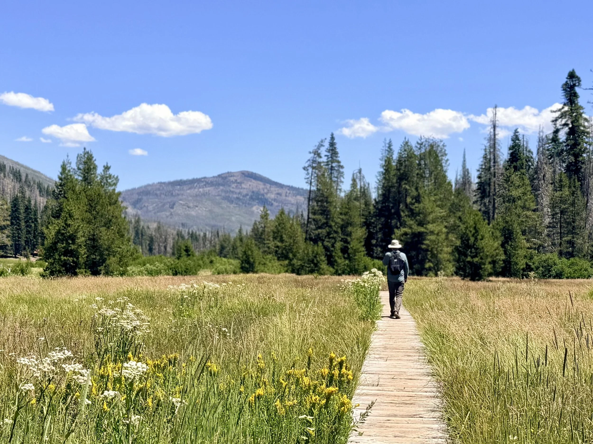 Lassen Part 2: Warner Valley