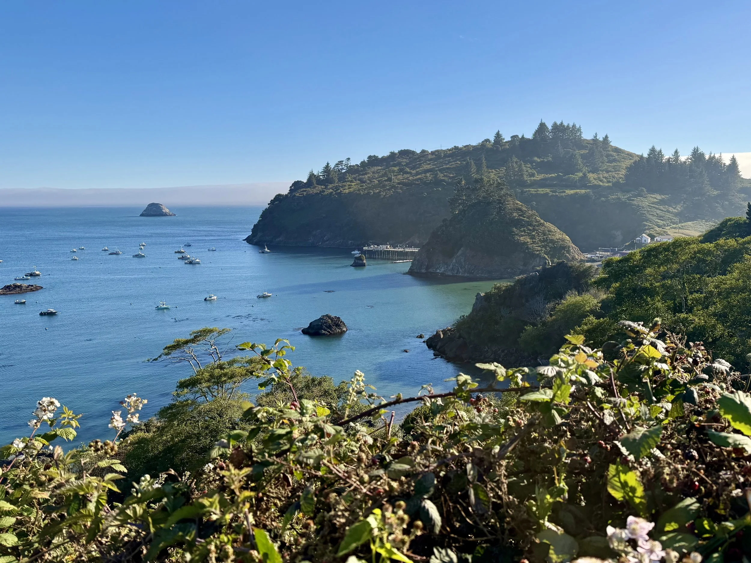 Trinidad Head, viewed from town