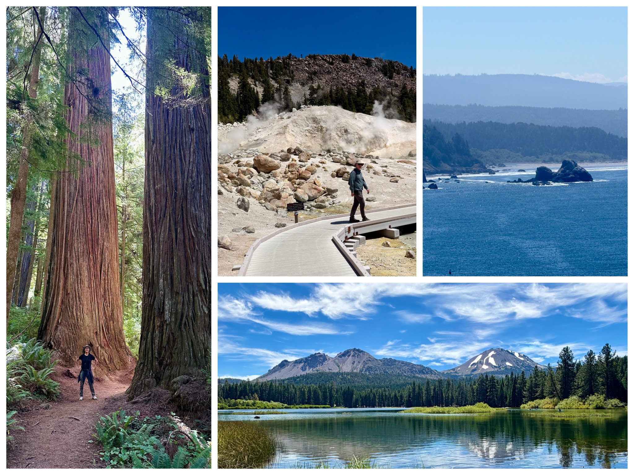 Northern California Vacation