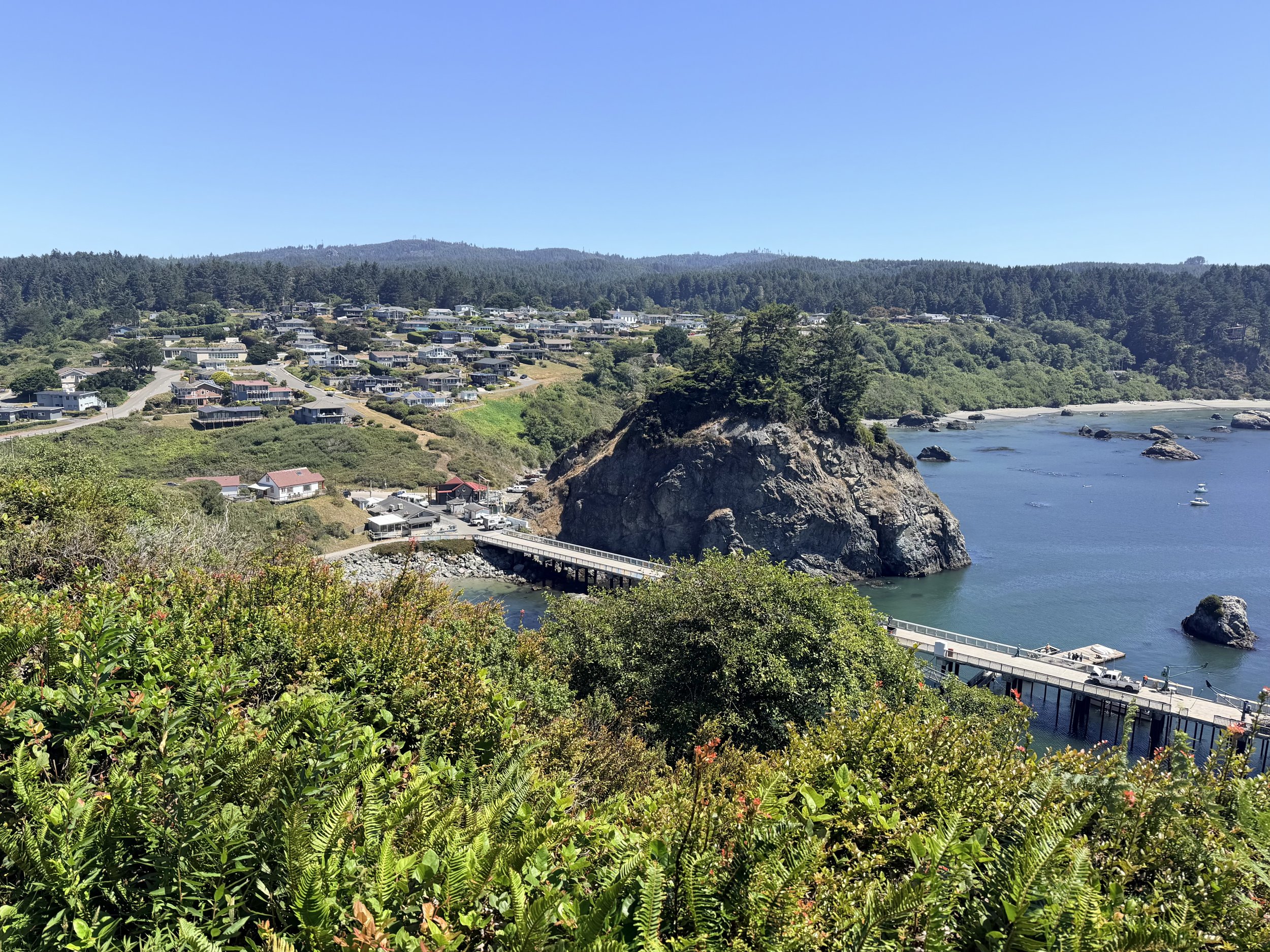 View of Trinidad from Trinidad Head