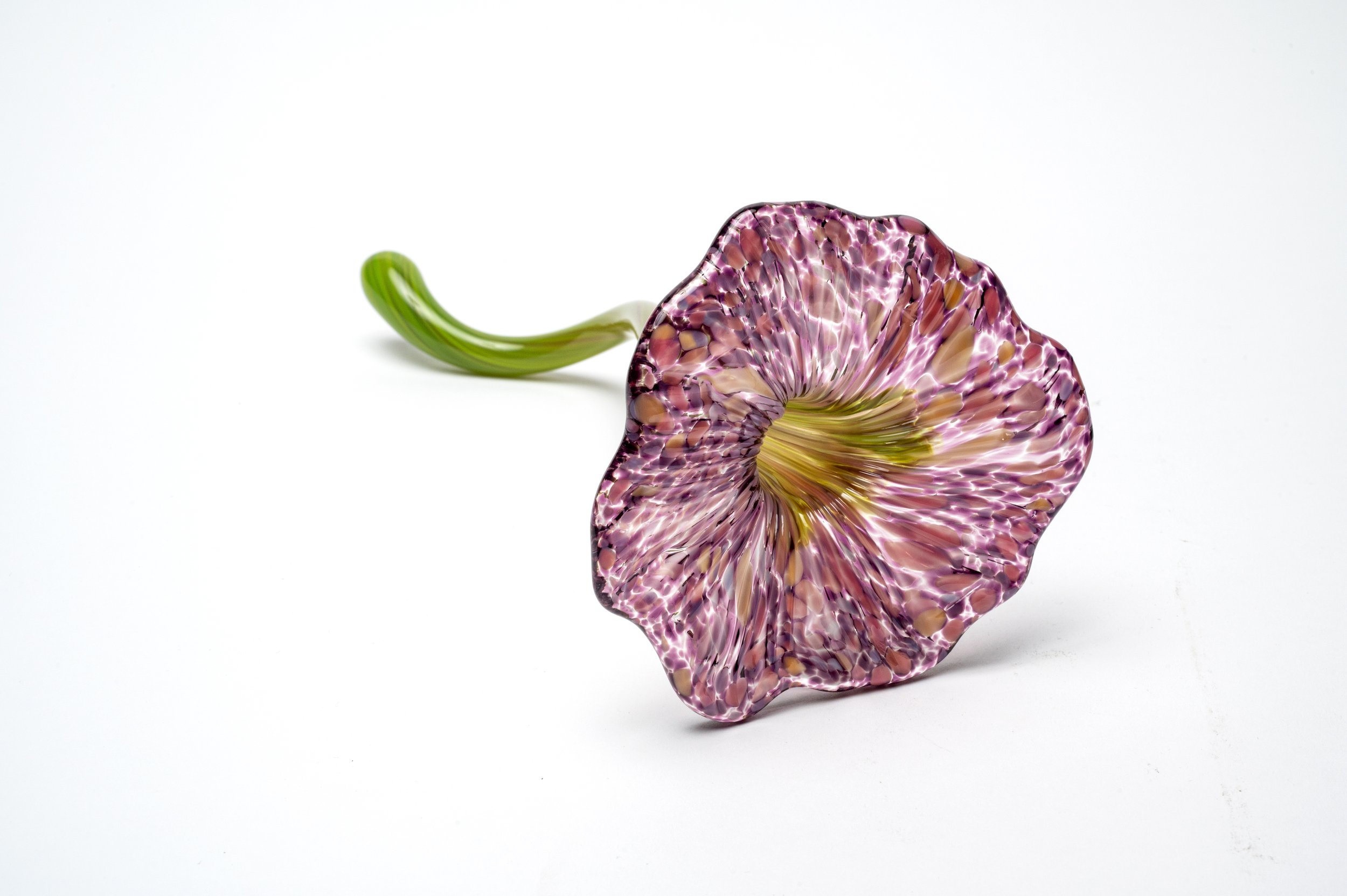 flower - purple.jpg