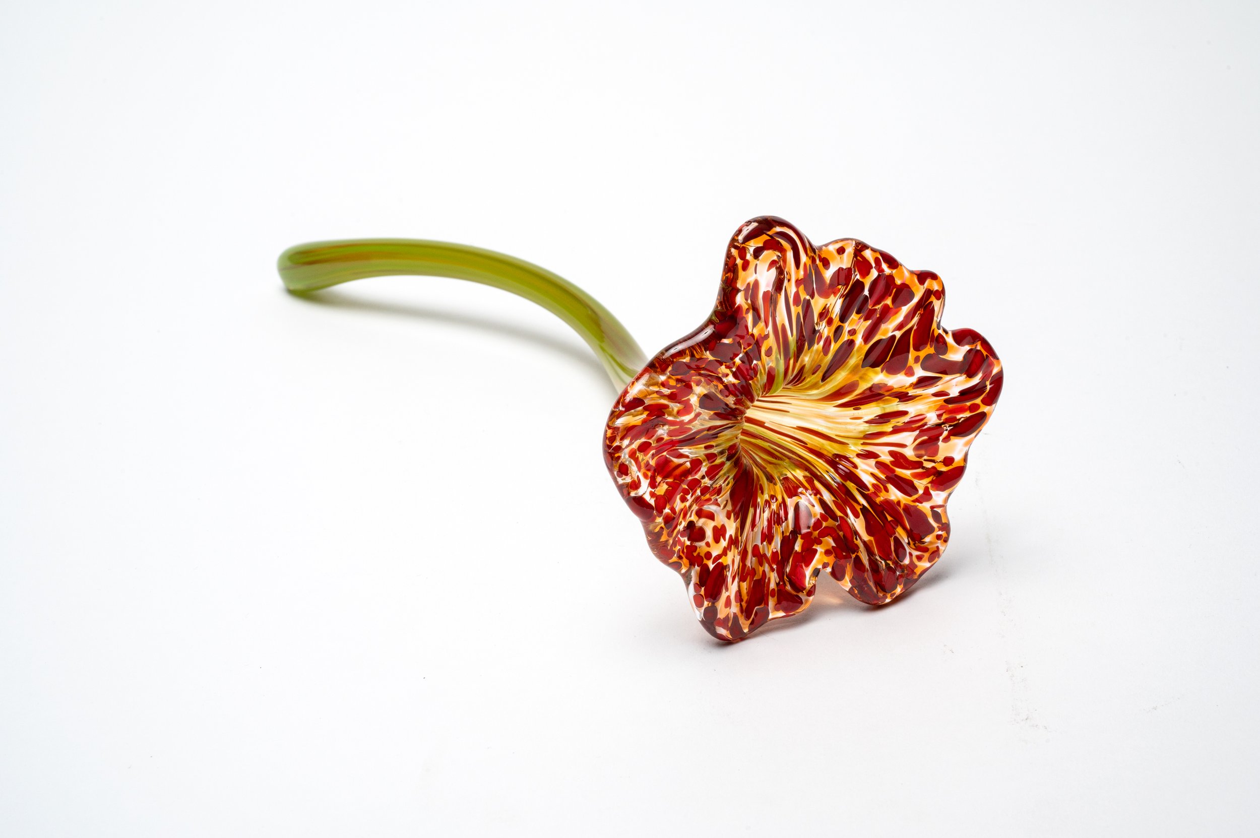 flower - red.jpg
