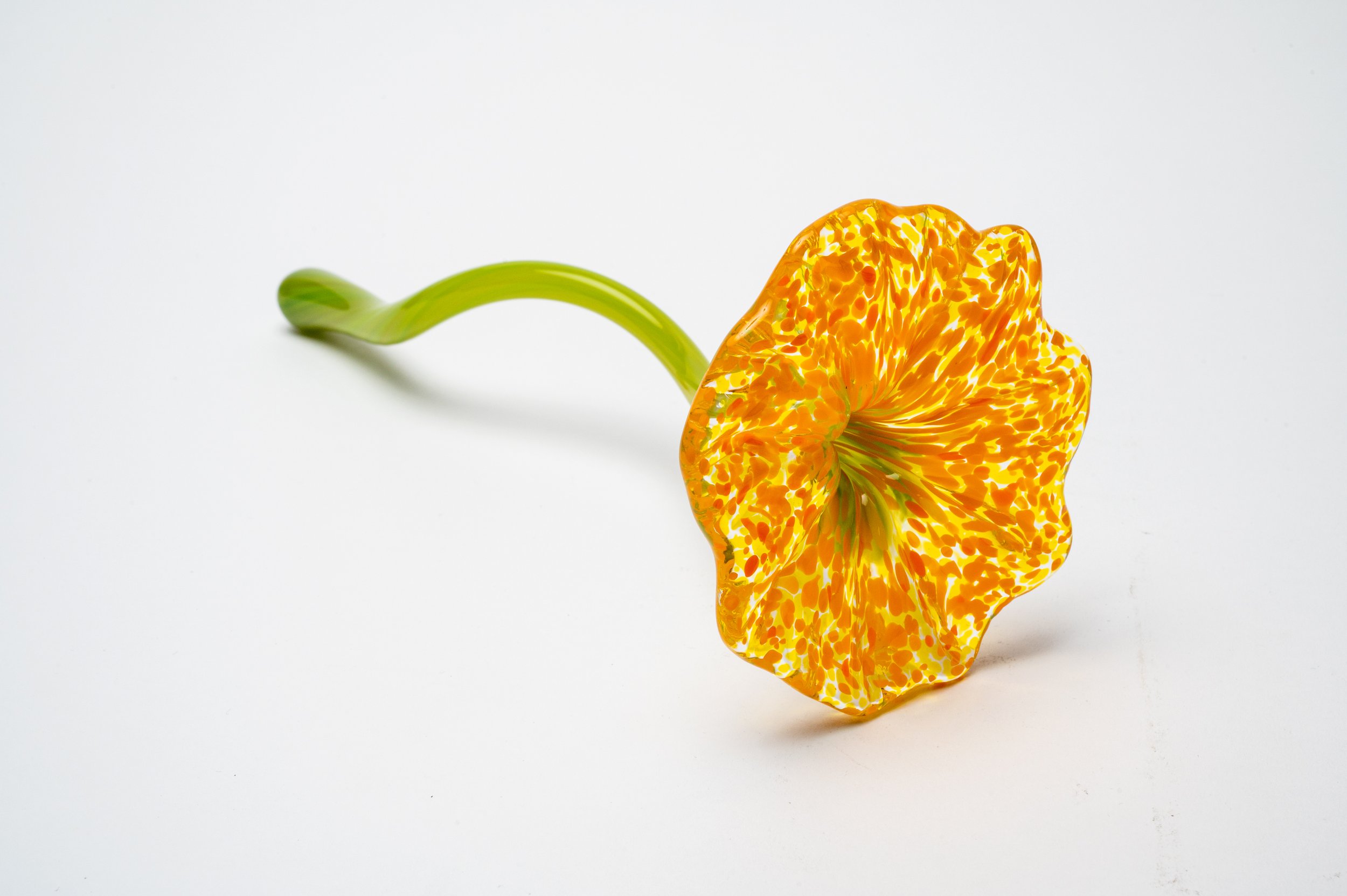 flower - yellow.jpg