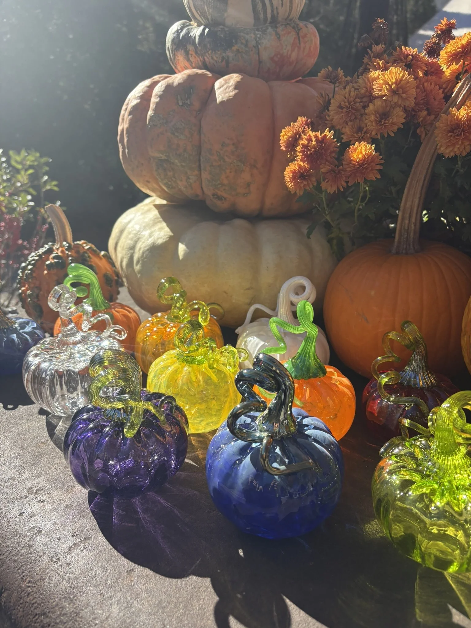 Pumpkin Workshop