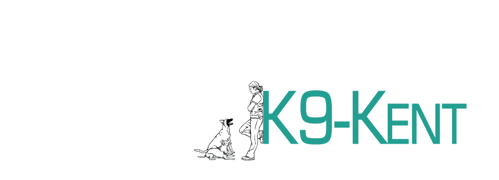 K9-Kent WT-Metall Trailers