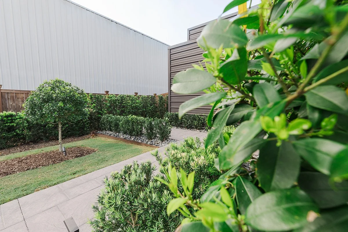Commercial hedge and shrub maintenance Baton Rouge LA