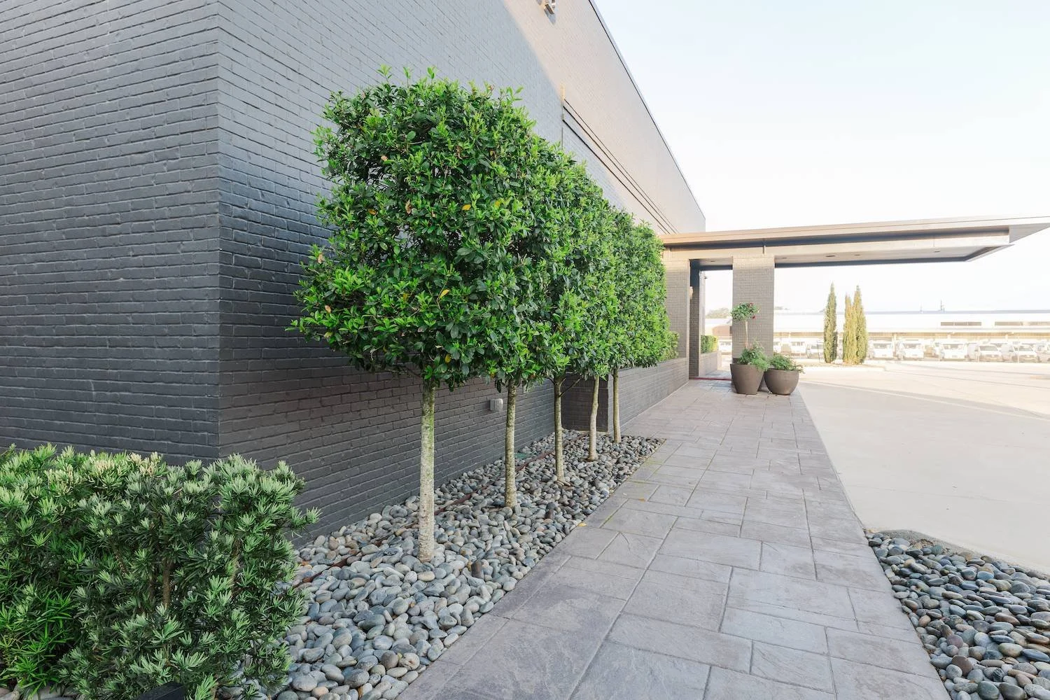 Commercial Landscaping in Baton Rouge, LA