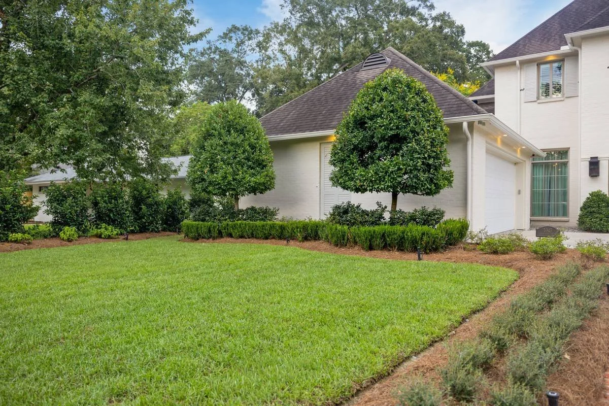Clipped boxwood hedge and standard trees framing a front lawn — Flora Landscape Contractors