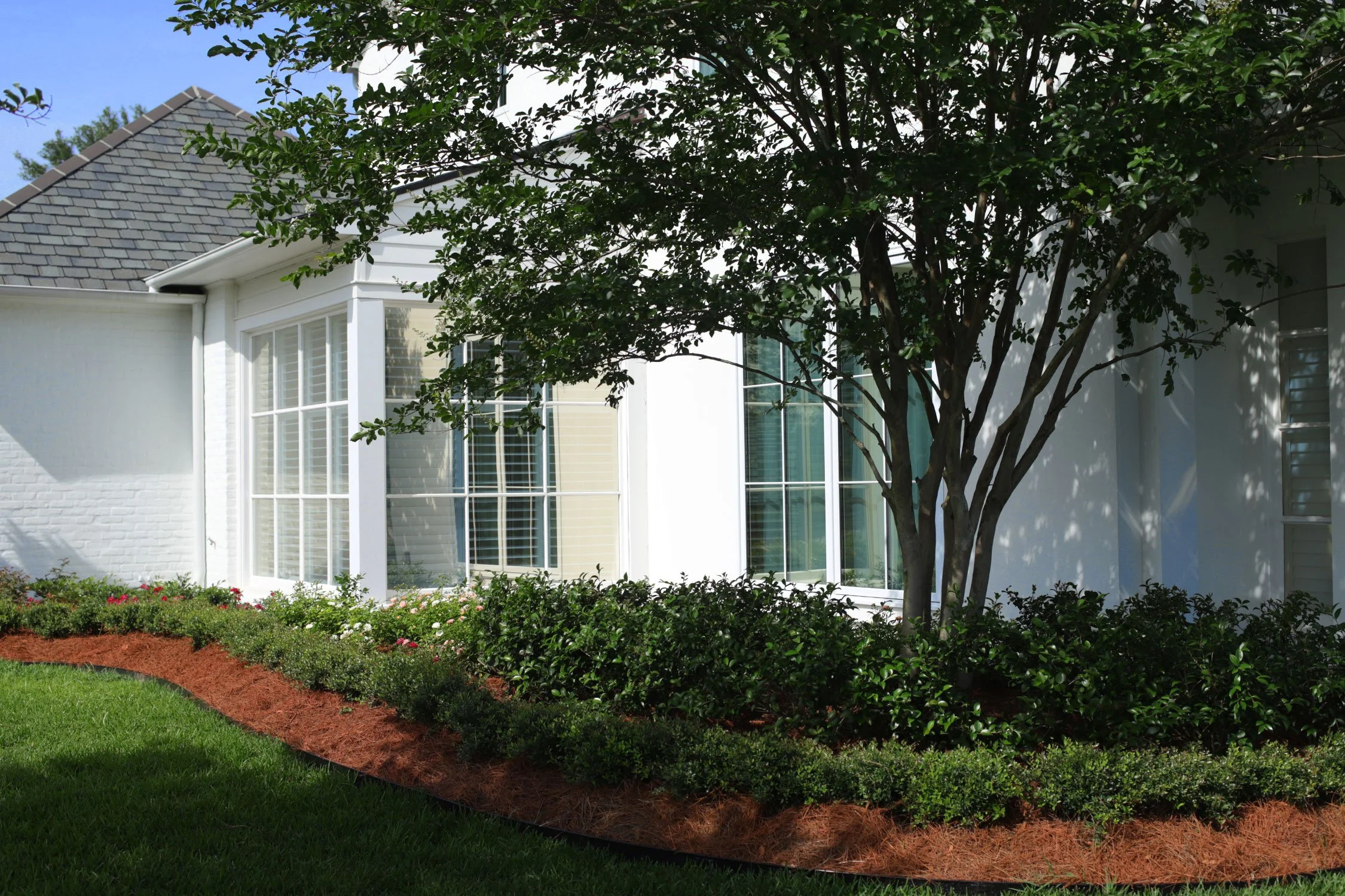 Expert landscaping and edging in Private Residence in South Louisiana