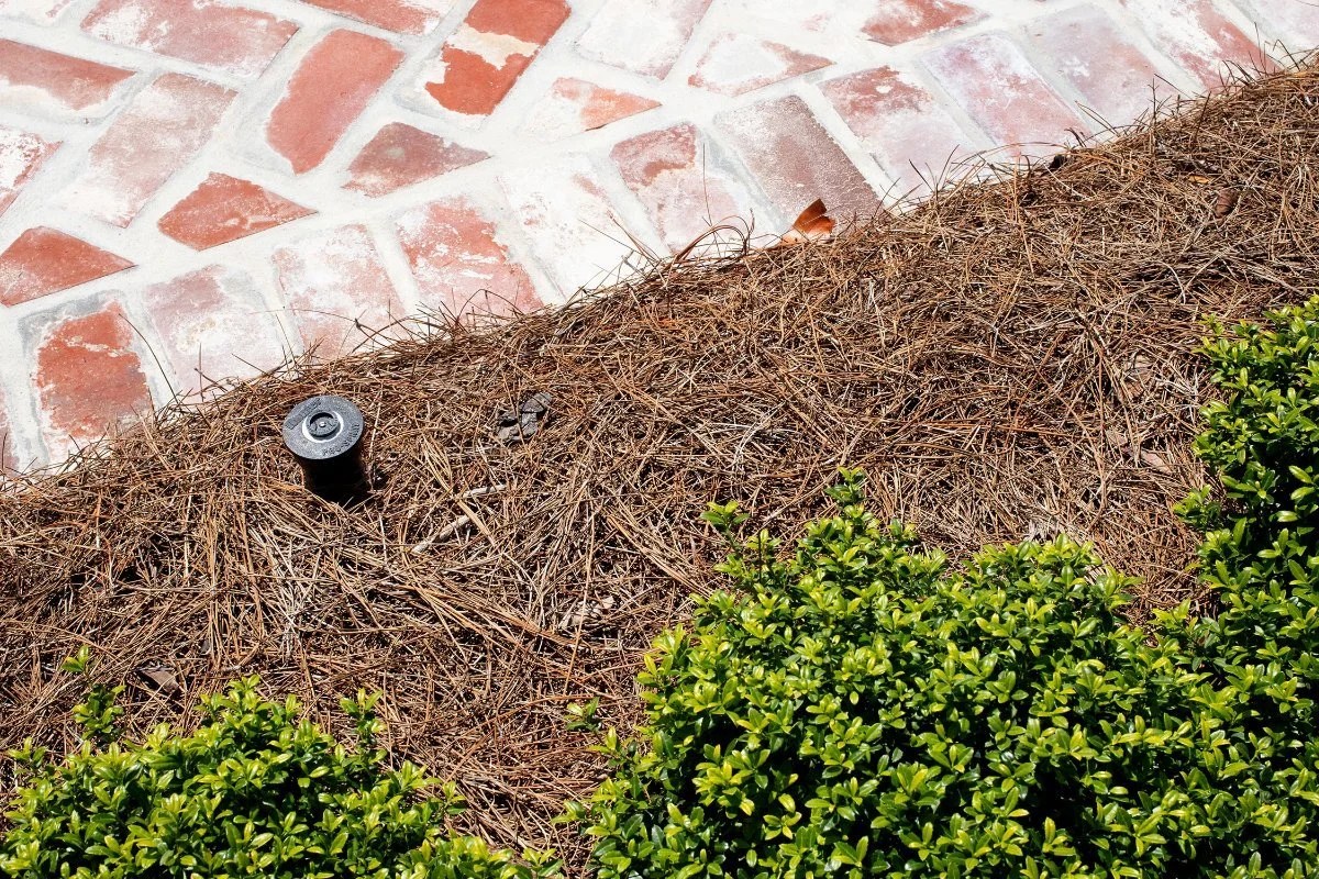 Prairieville garden bed landscaping near me