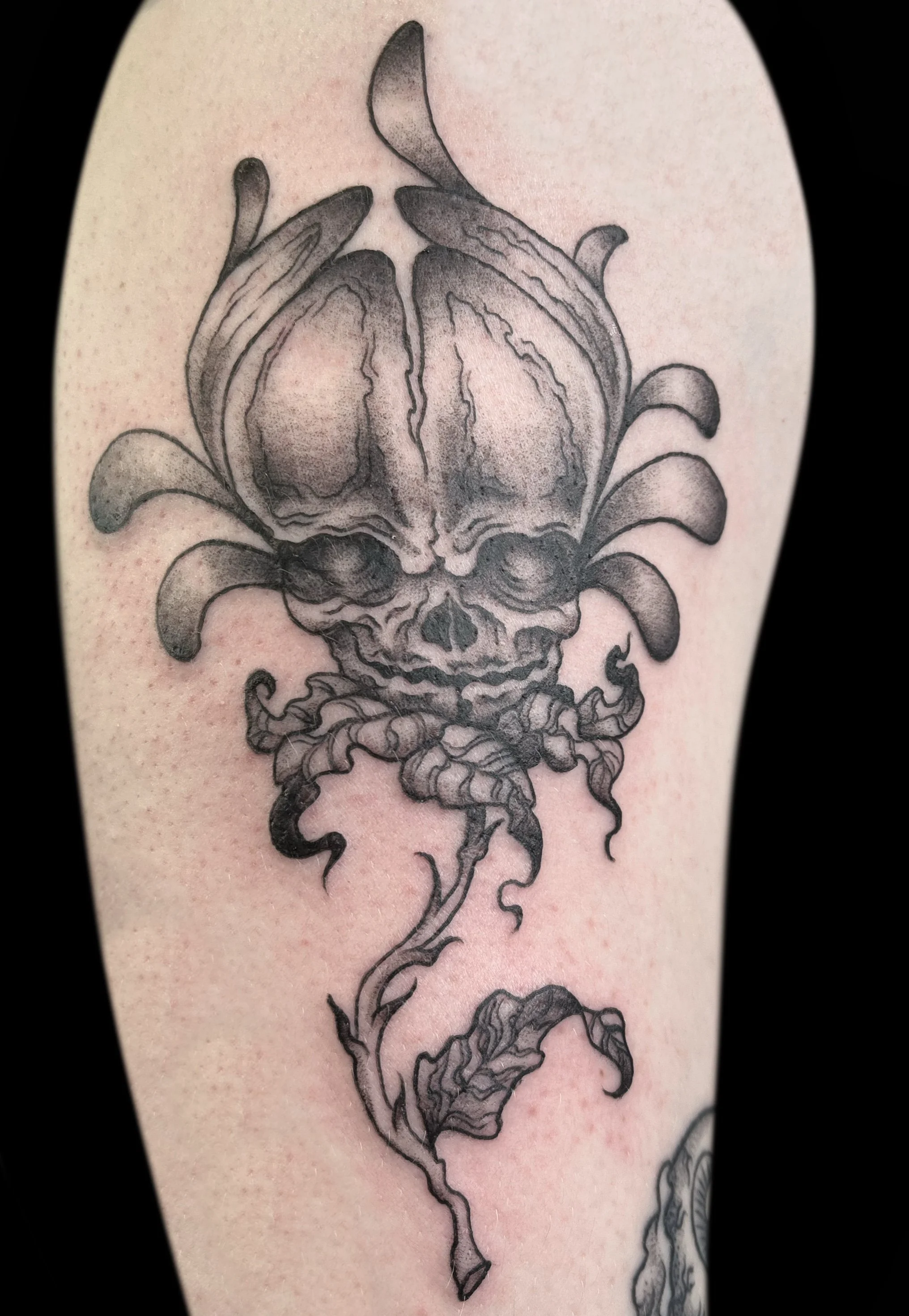 A685FF0D-4A88-420A-8E11-39BA84622656 2.jpg