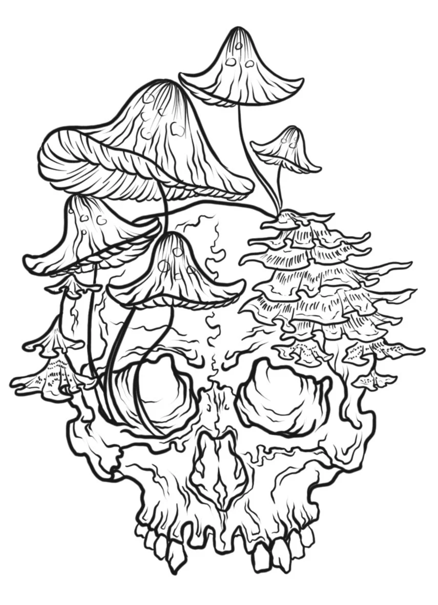 Untitled_Artwork 8.jpg