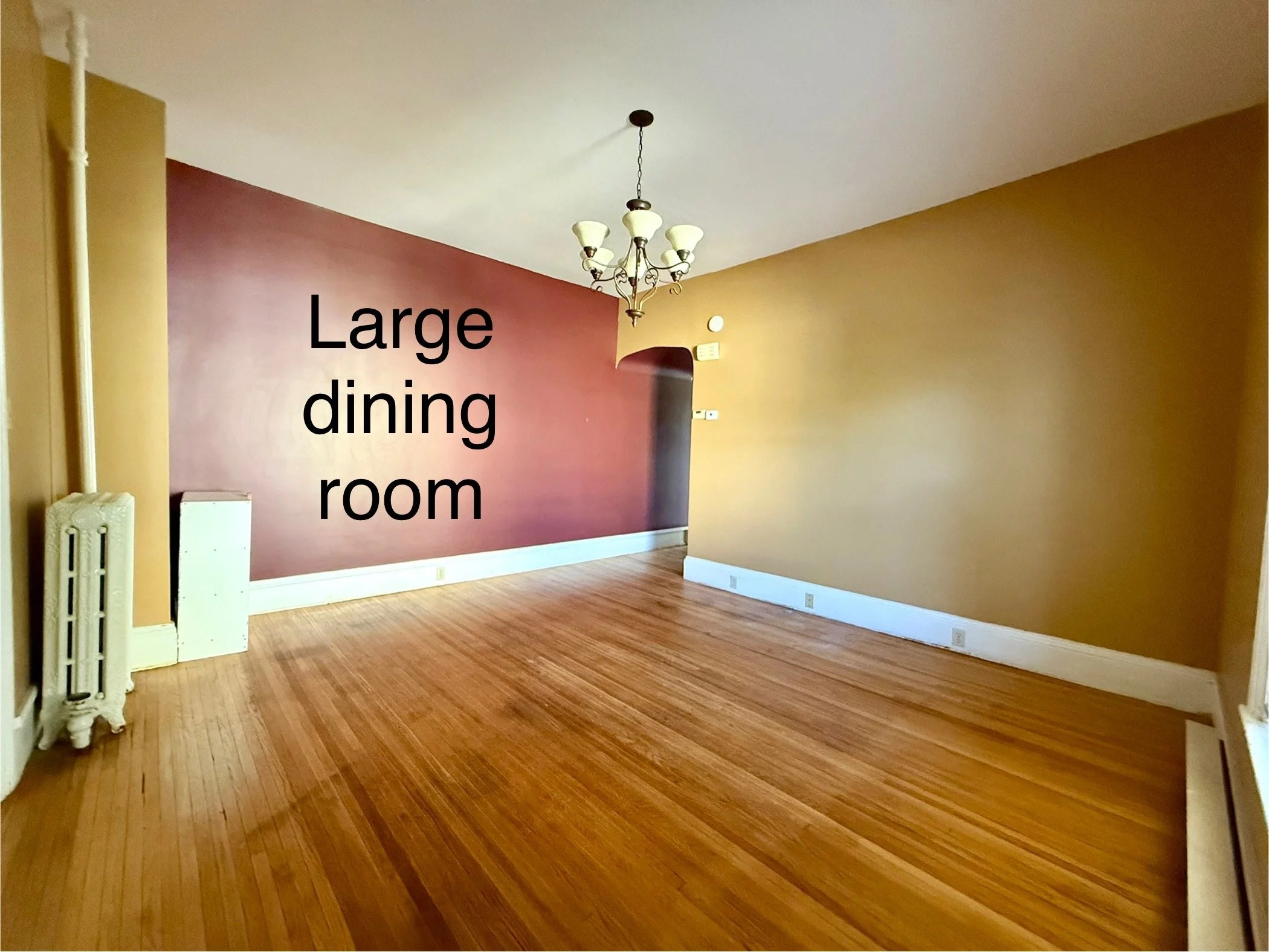 image3 (2).jpeg