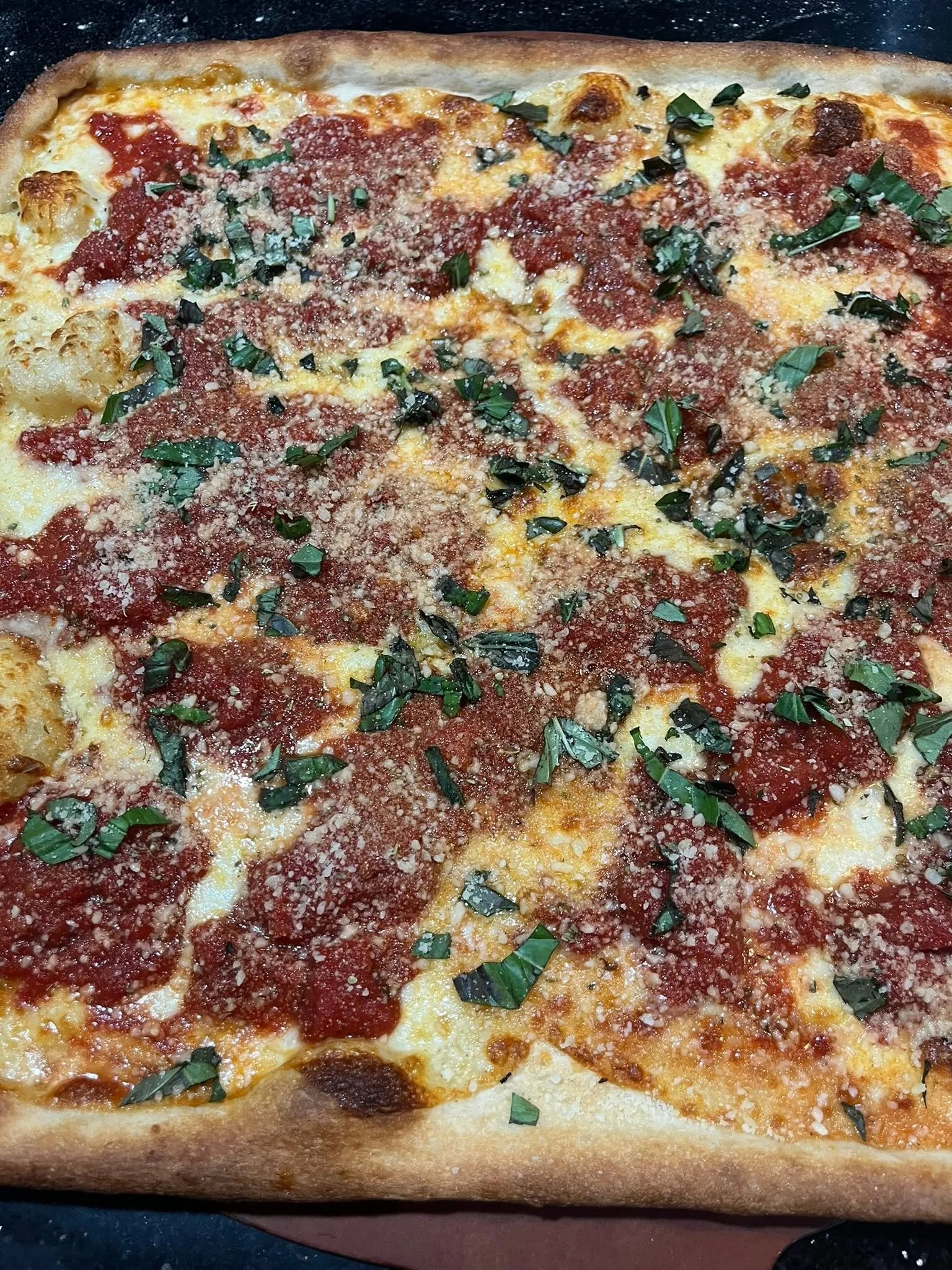 A freshly baked pizza with tomato sauce, cheese, basil, and grated cheese on top, in a rectangular shape.