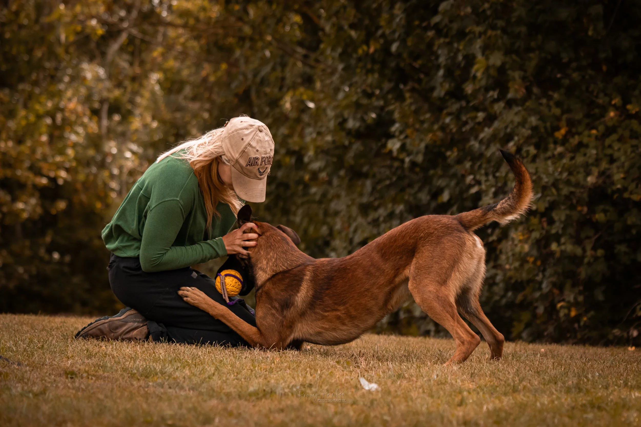 Why Puppy Classes Don’t Always Prepare Dogs For Real Life
