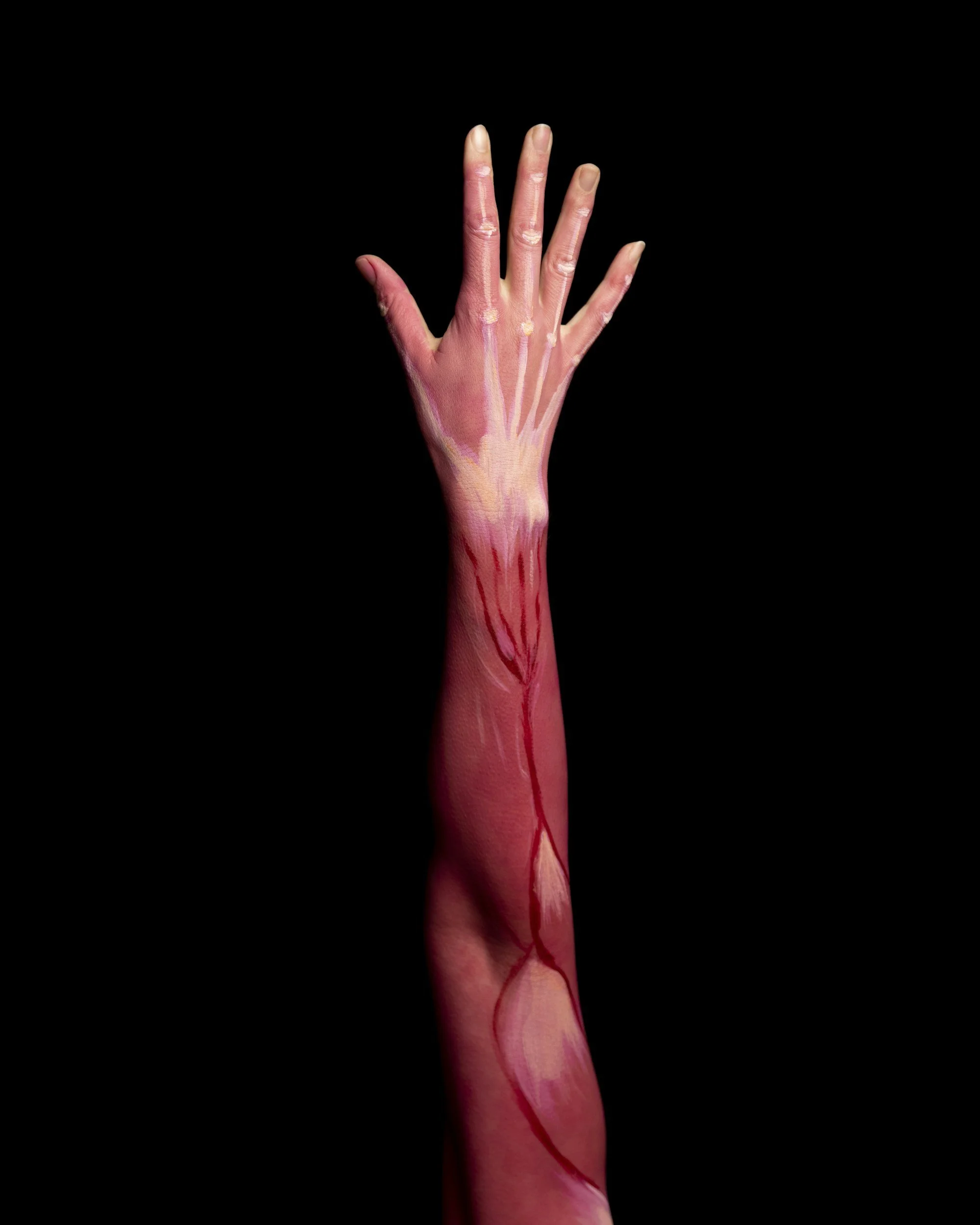 Muscle and GLP-1 