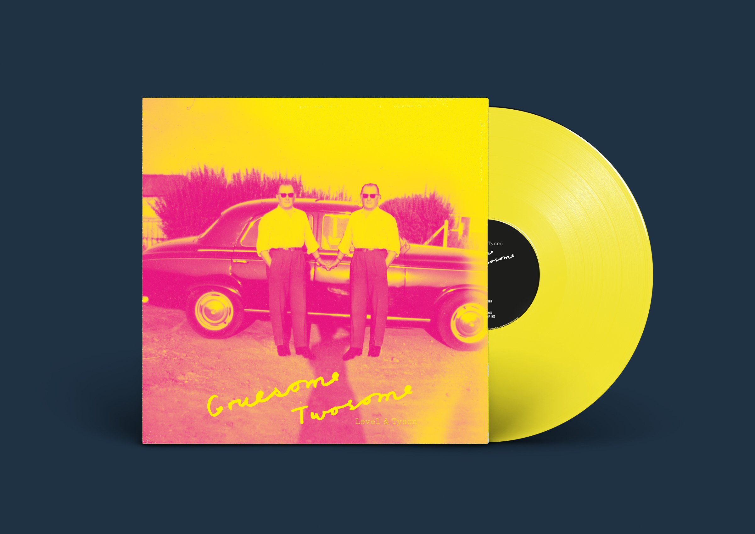 Vinyl Cover 