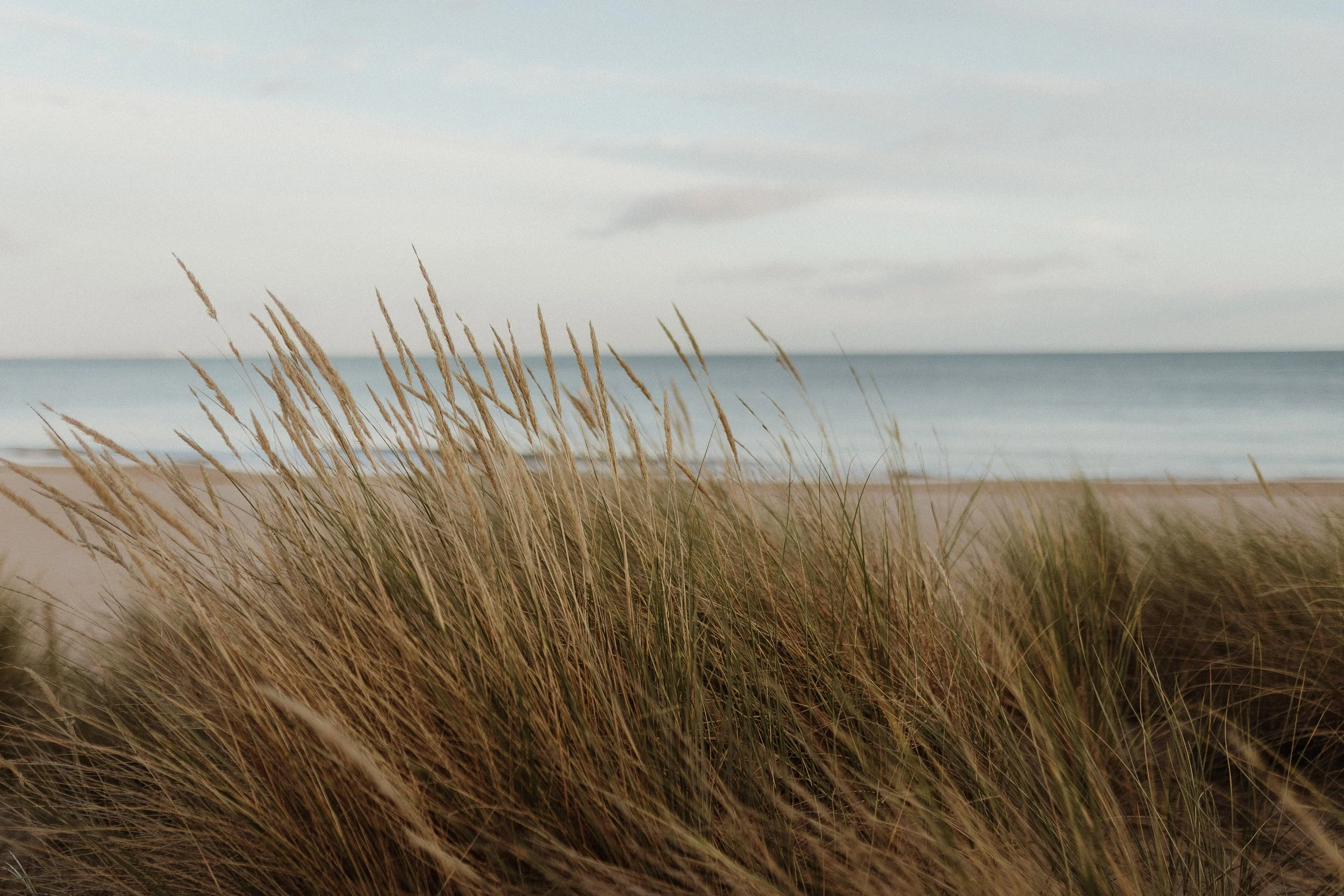 SEO for photographers 