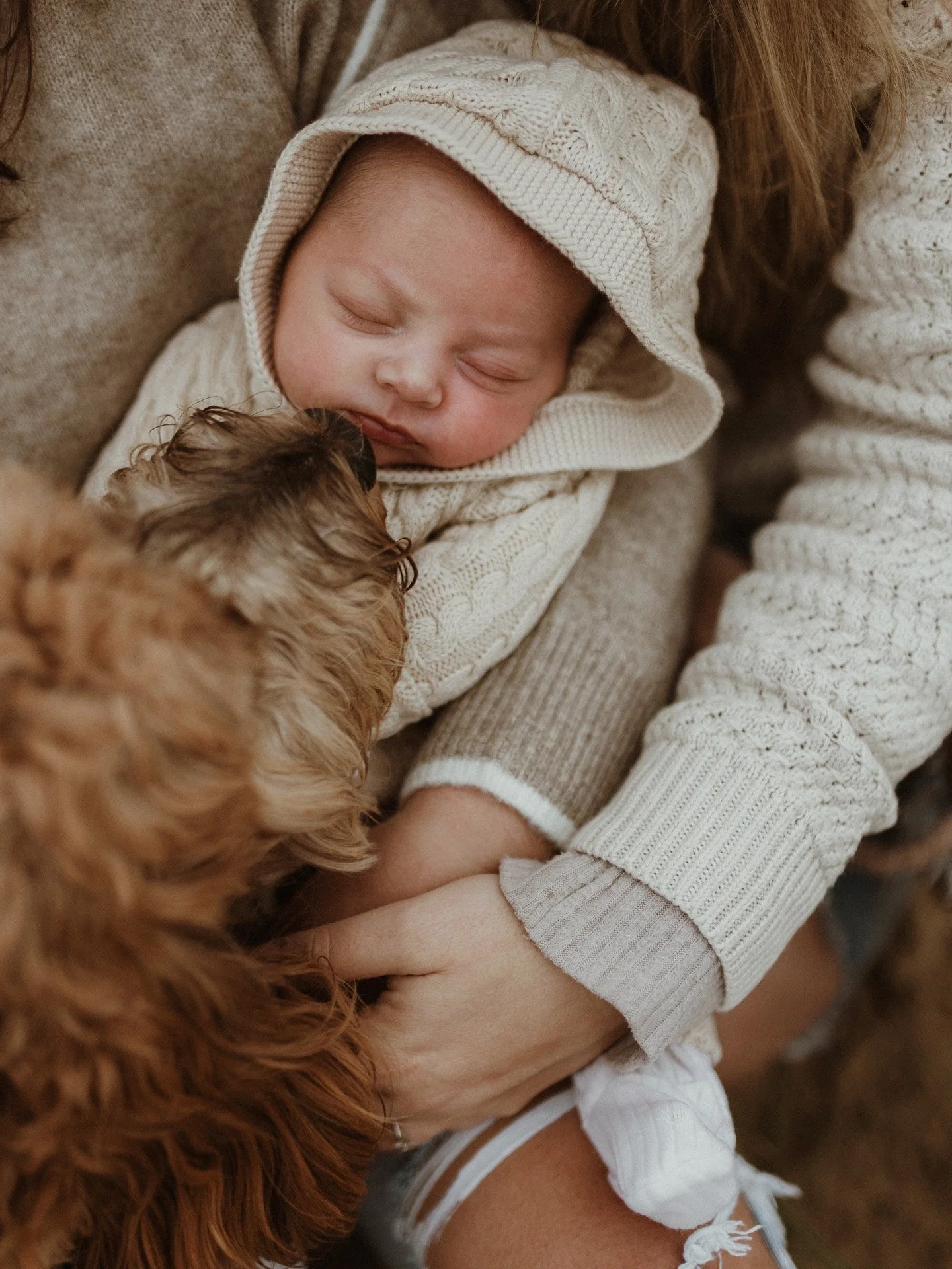 Can we bring our dog? 
The answer is always yes. In fact, I beg you to! 😍