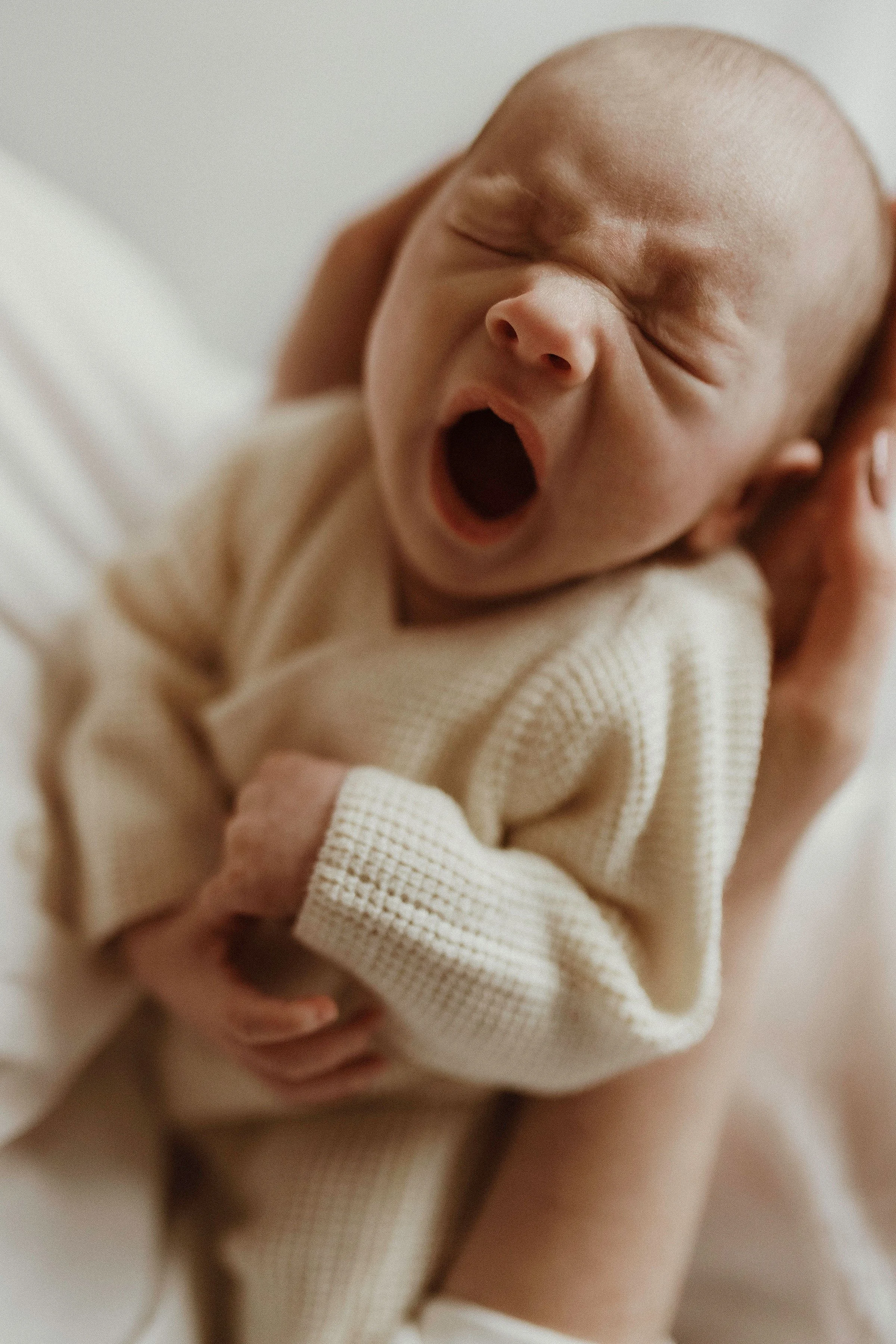 Hampshire-newborn-photographer_SophieWheelerPhotography.jpg