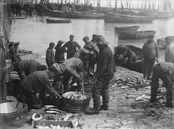 Folkestone Fishermen