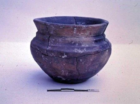 Pot Jan 1971_0.jpg