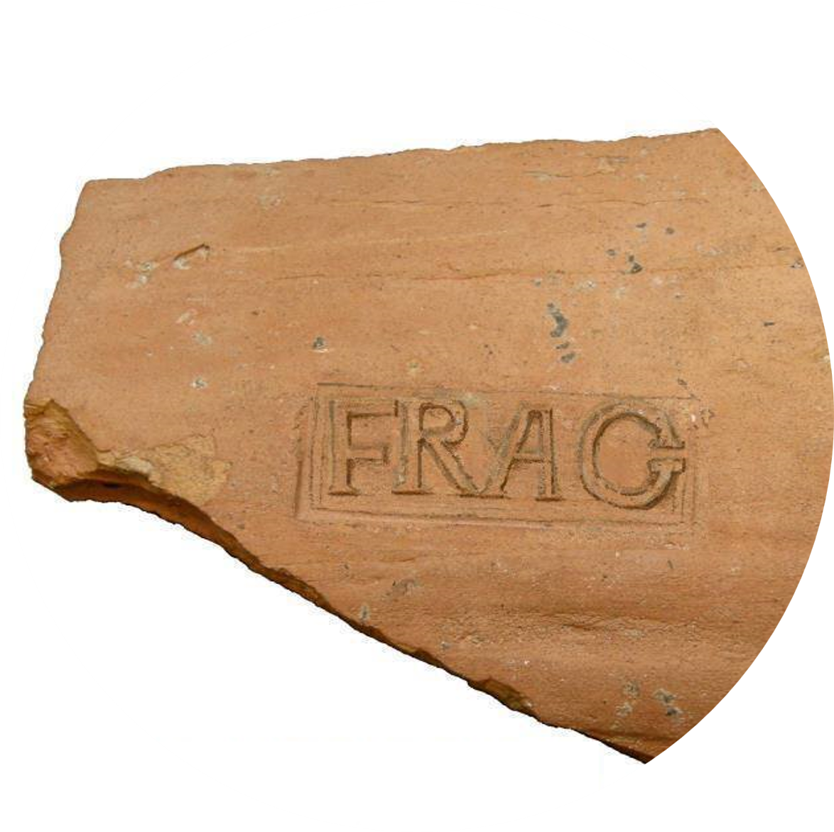 Digging Chariots with the British Museum 