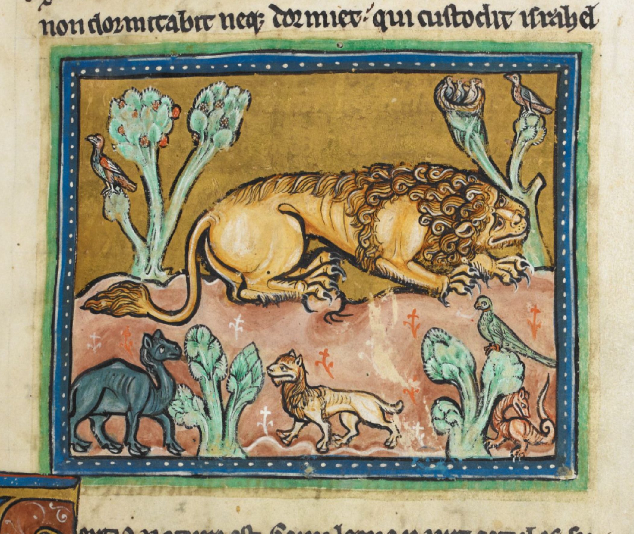 royal_ms_12_f_xiii_f4r_lion_with_other_animals.png