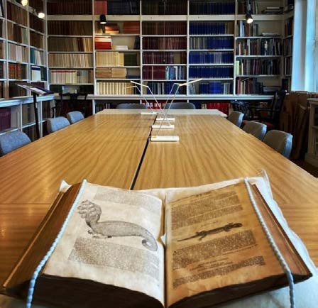 Archivist’s Update