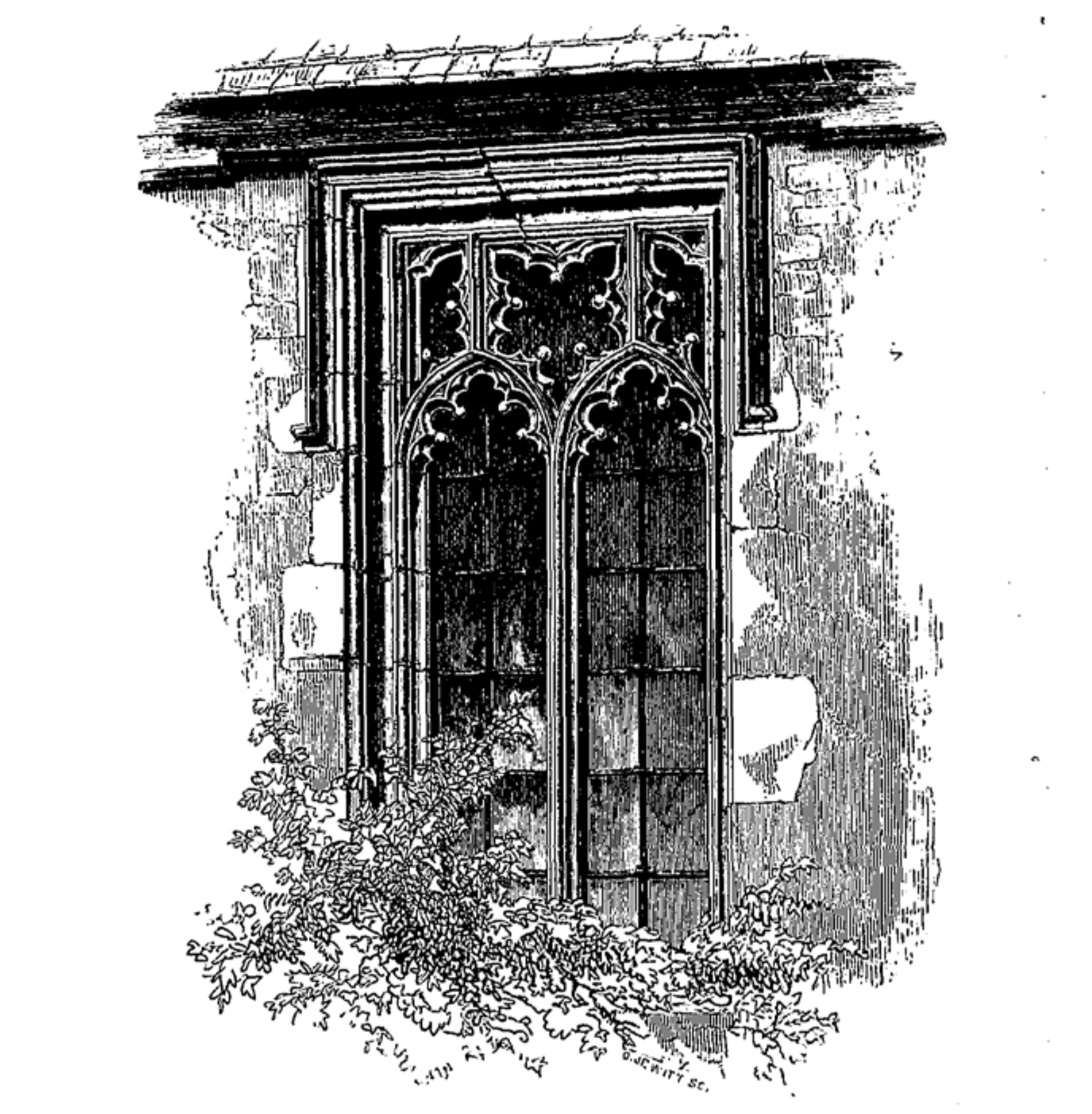 Miscellanea Notes and Emendations to Vols. II, III and III
