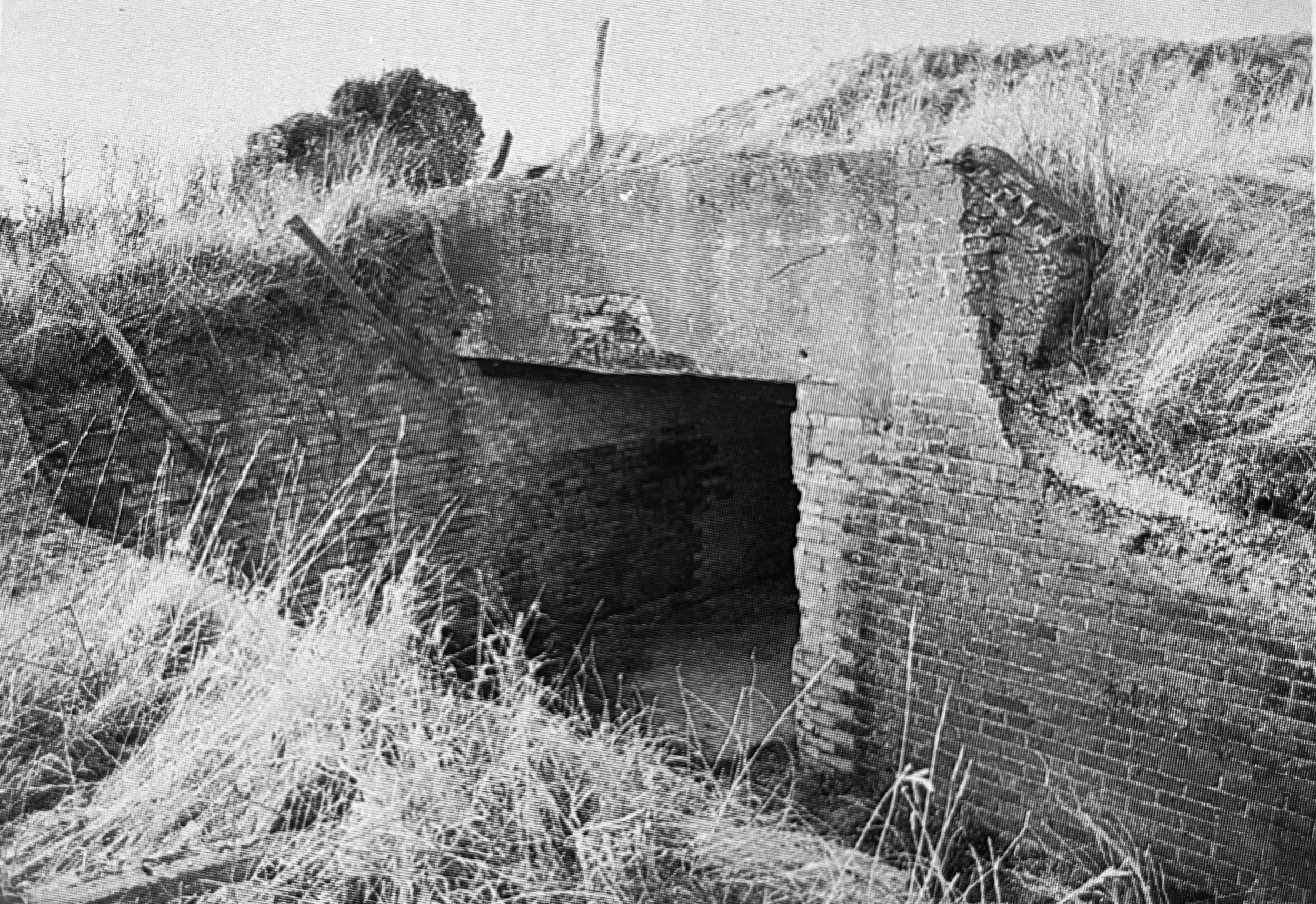 A modern site at South Foreland