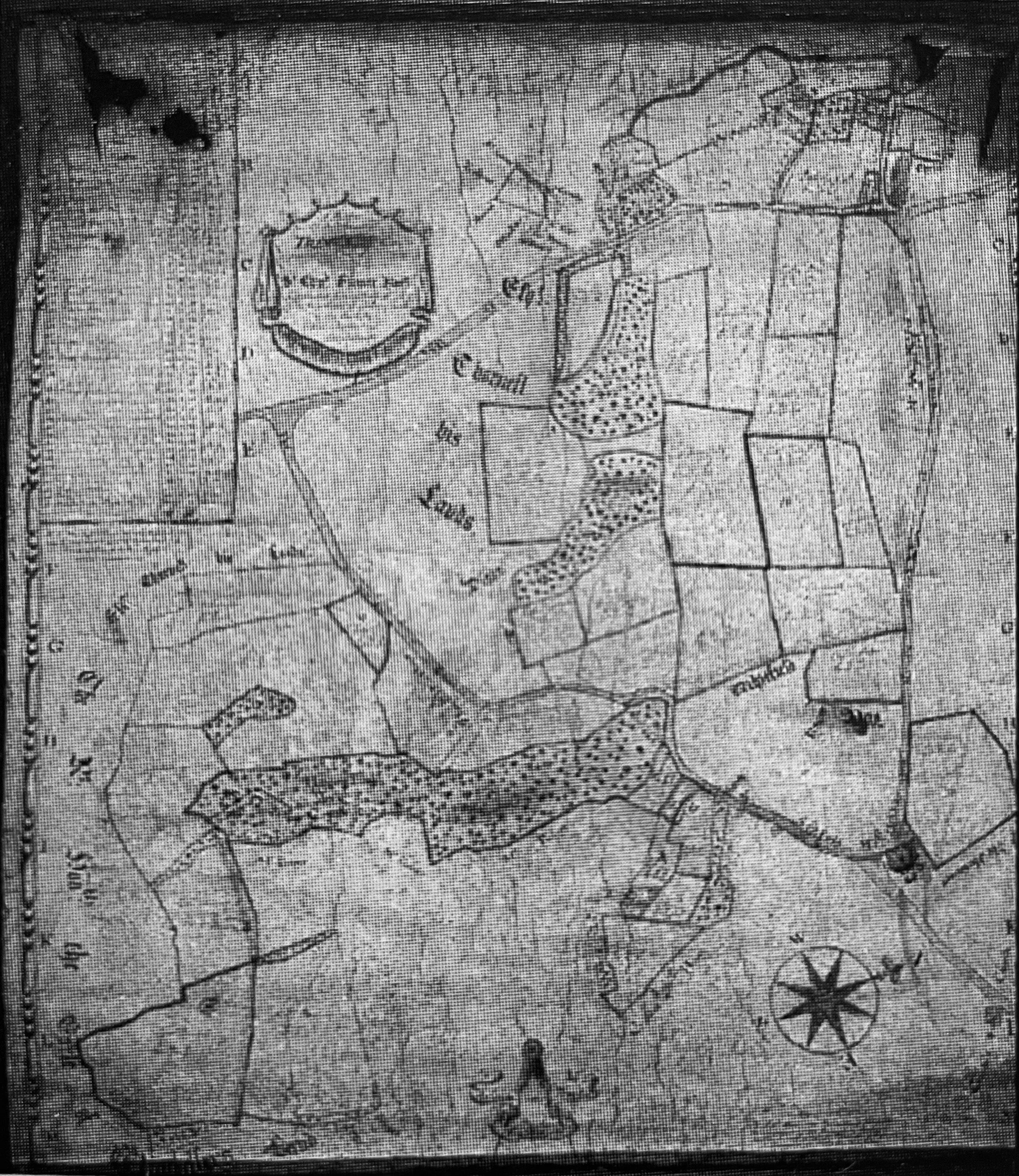 Dartford Document Rescue Department (D.D.R.G.!)