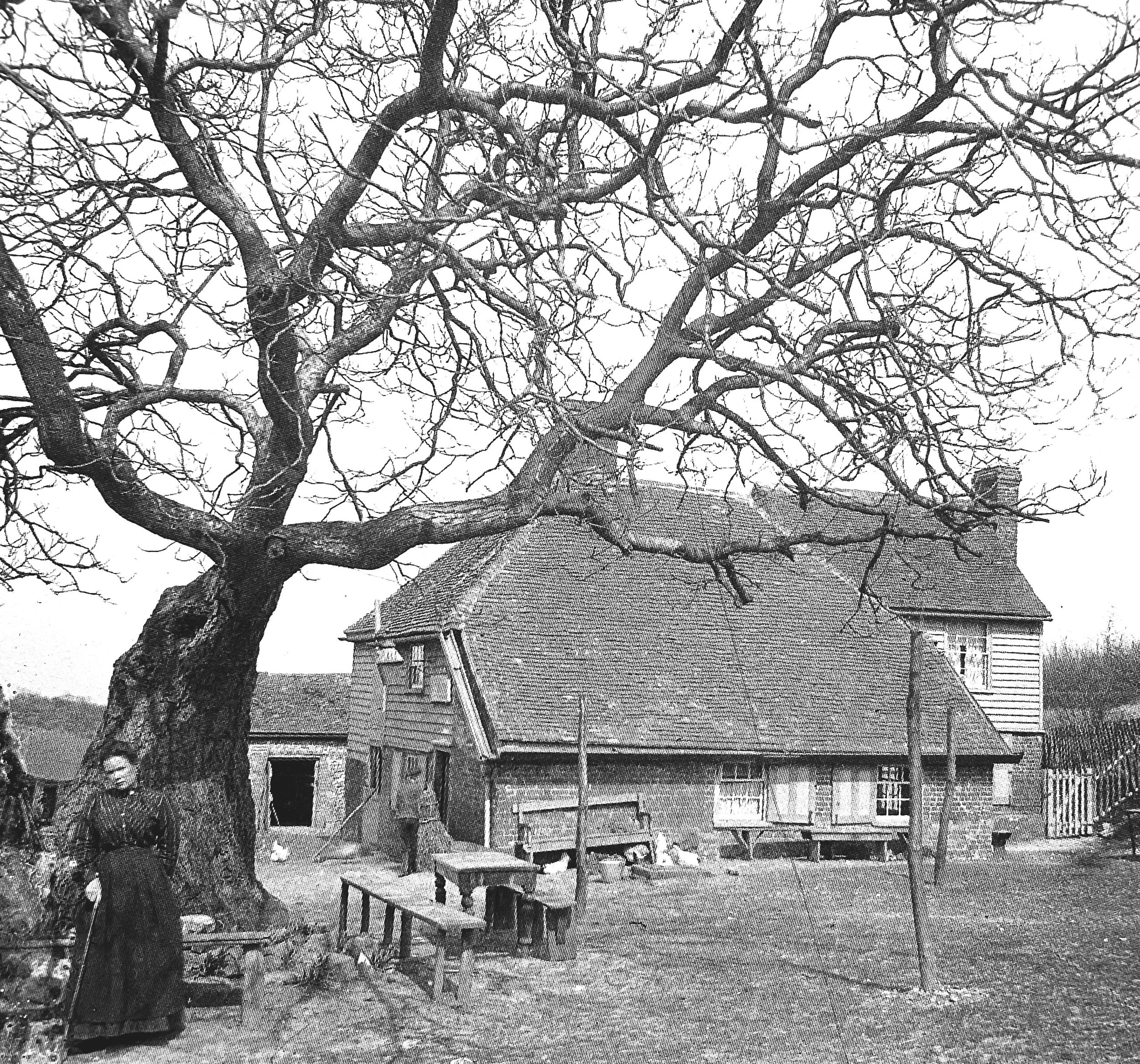 Do you recognise this building?